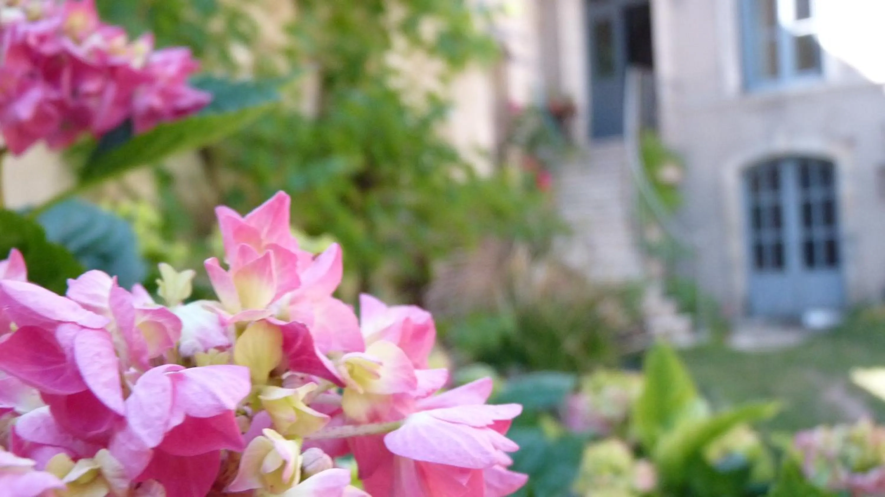 Garden in Chambres d'hôtes Coté Halles