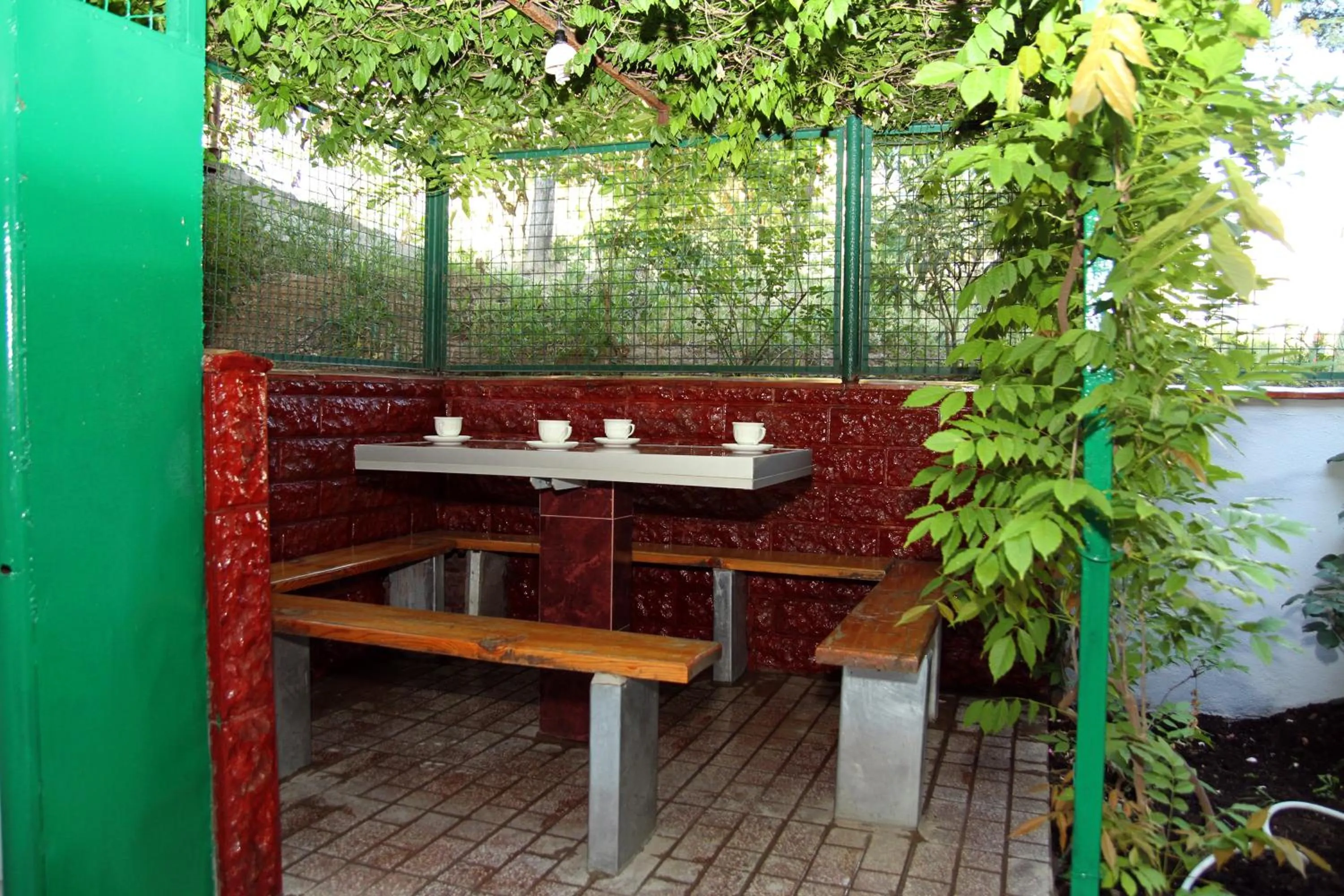 Garden in Hotel VENUS