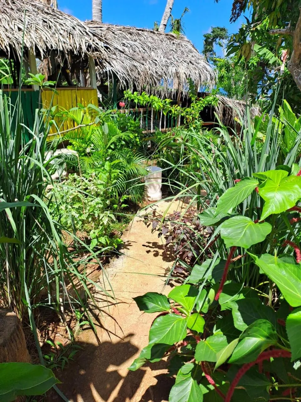 Garden in LE CHISSIOUA