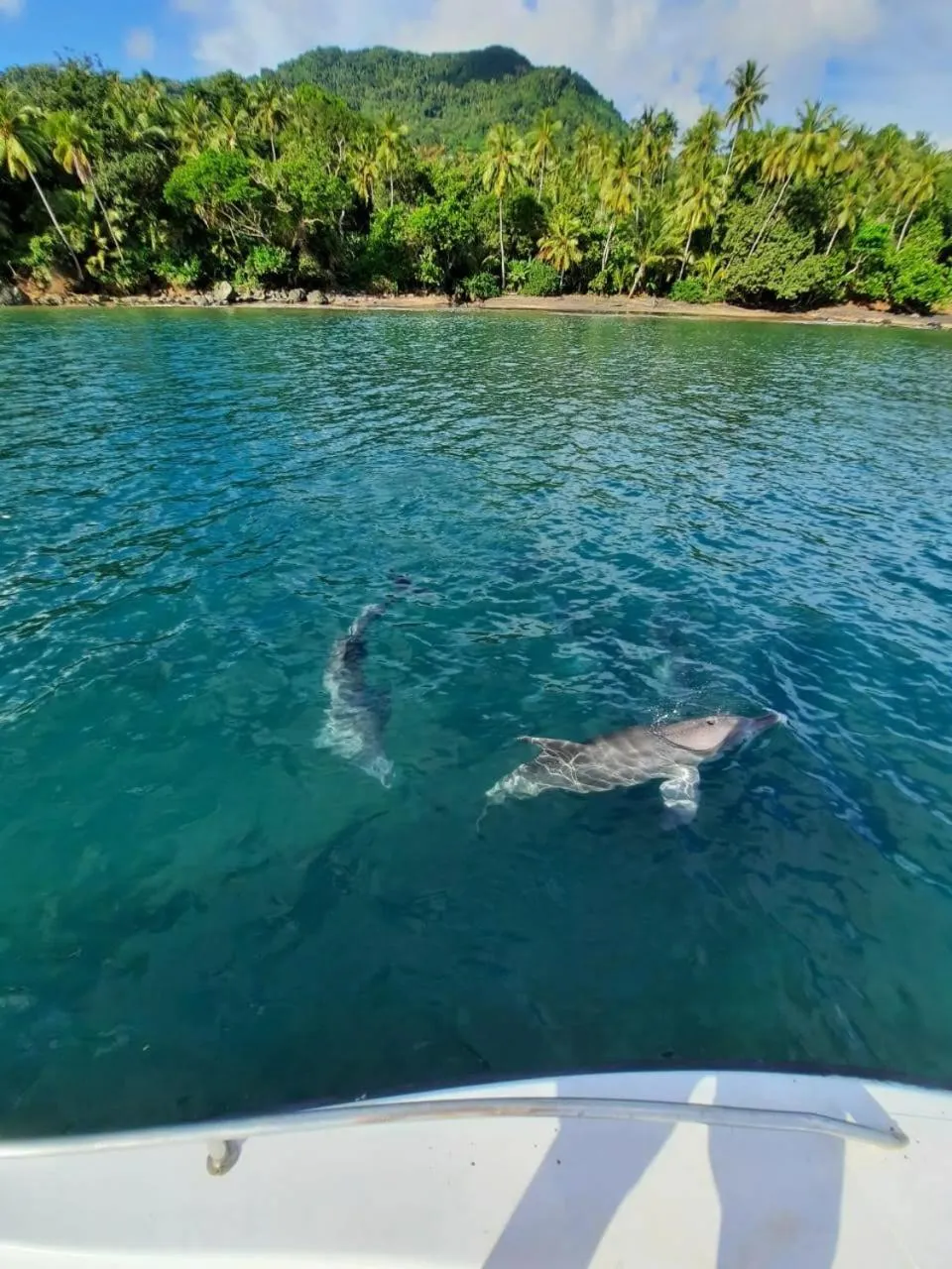 Activities in LE CHISSIOUA