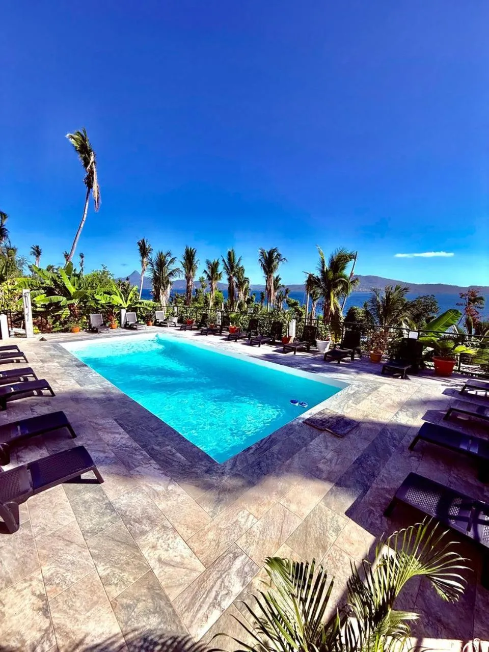 Swimming pool in LE CHISSIOUA