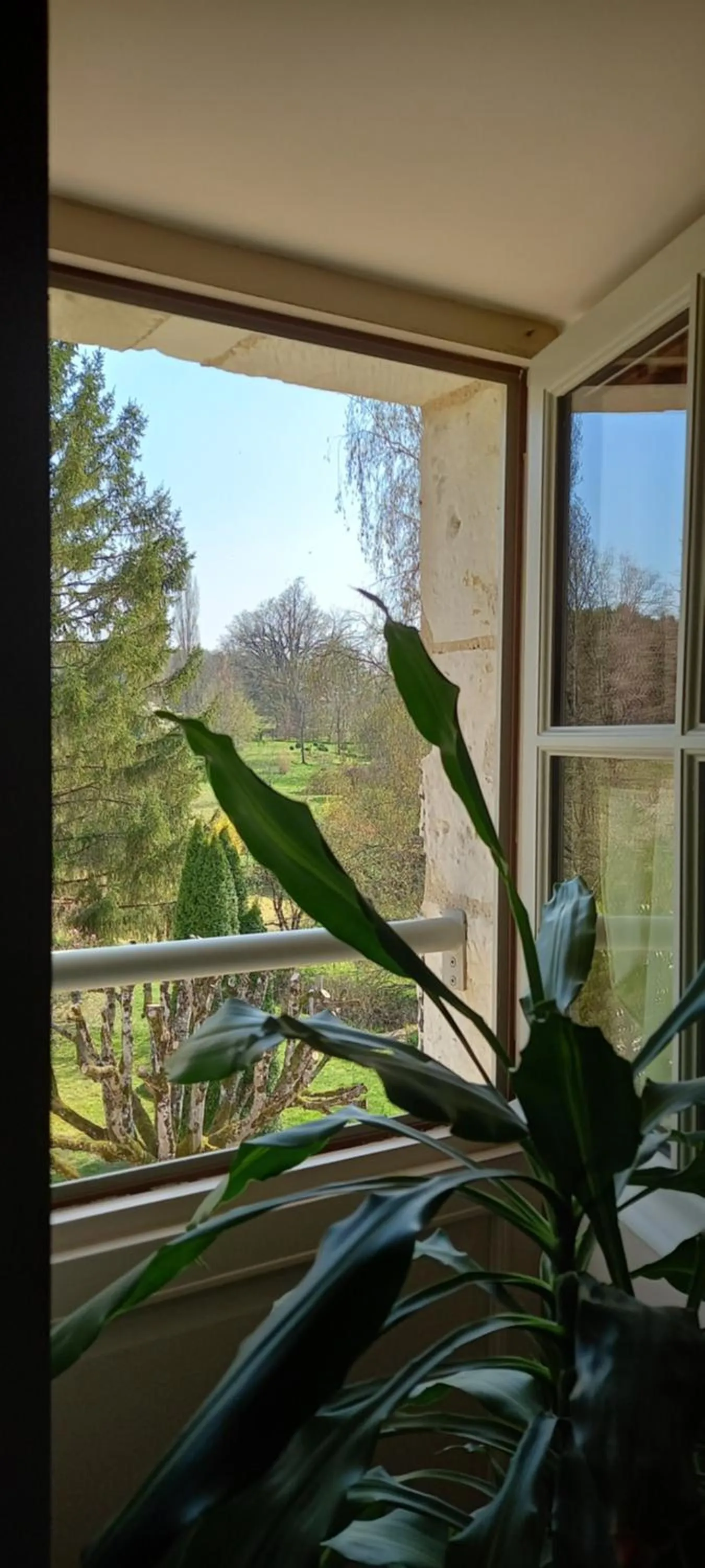 Garden view in Aux penates de Toni Beauval