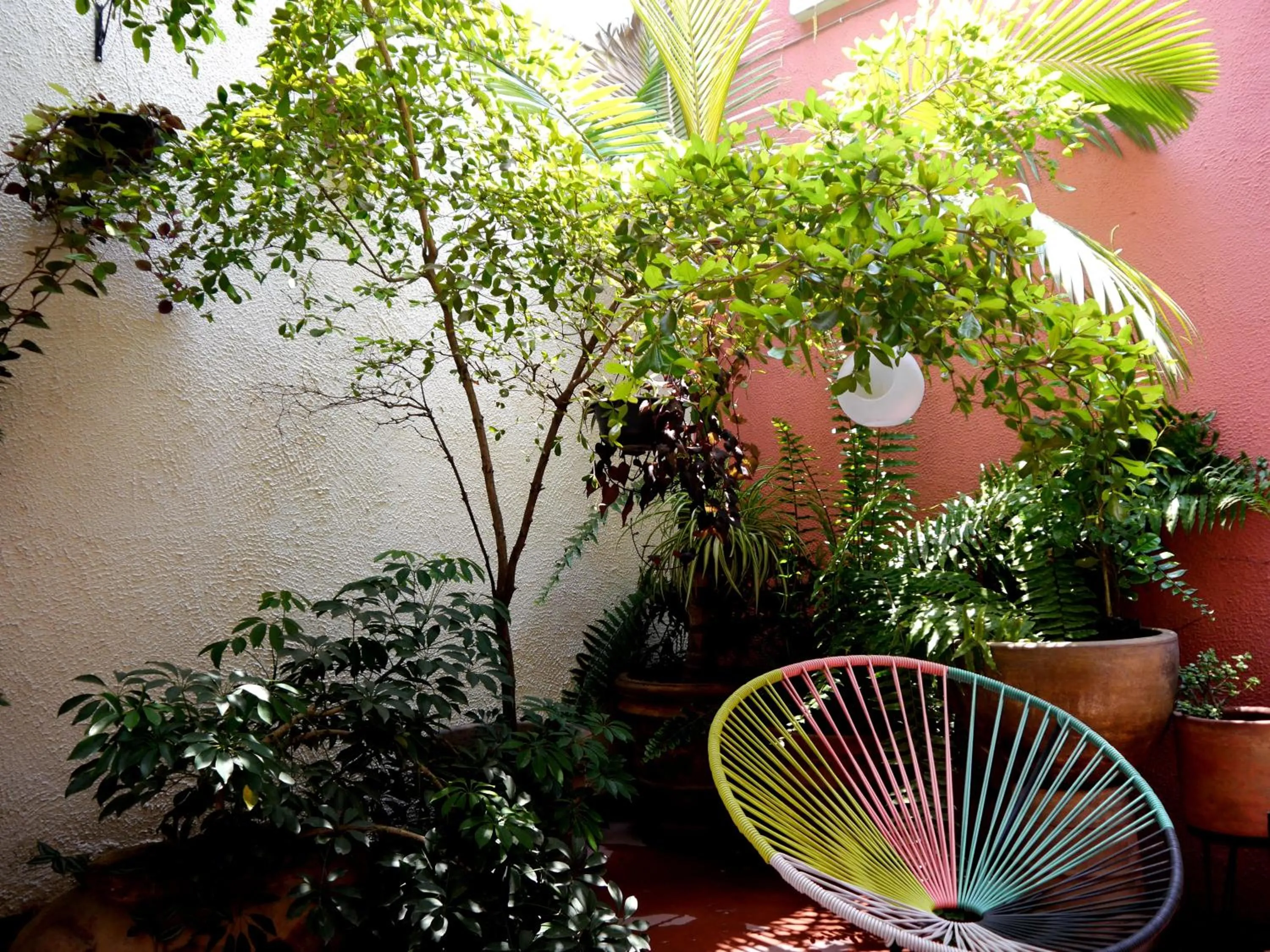 Patio in Hostel Hospedarte Centro