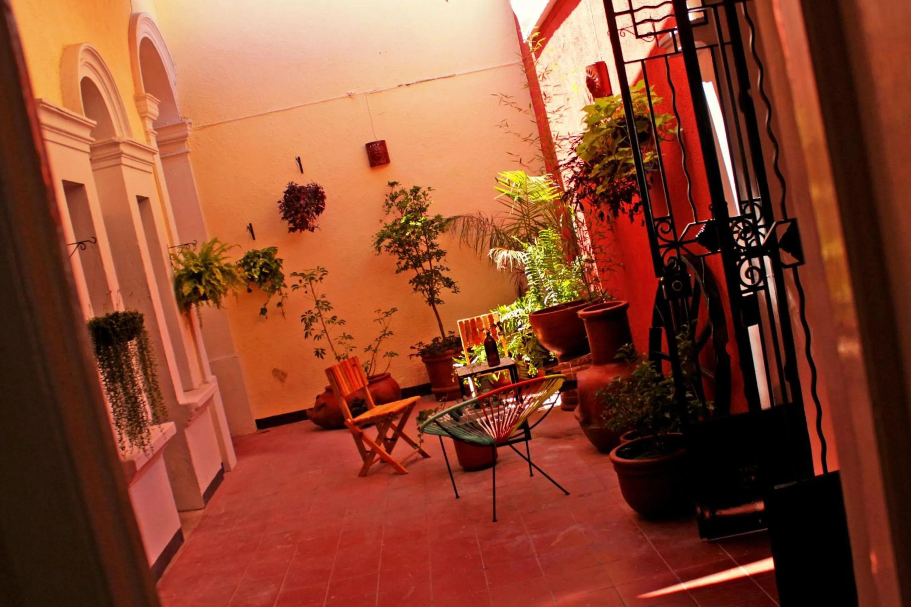 Balcony/Terrace in Hostel Hospedarte Centro
