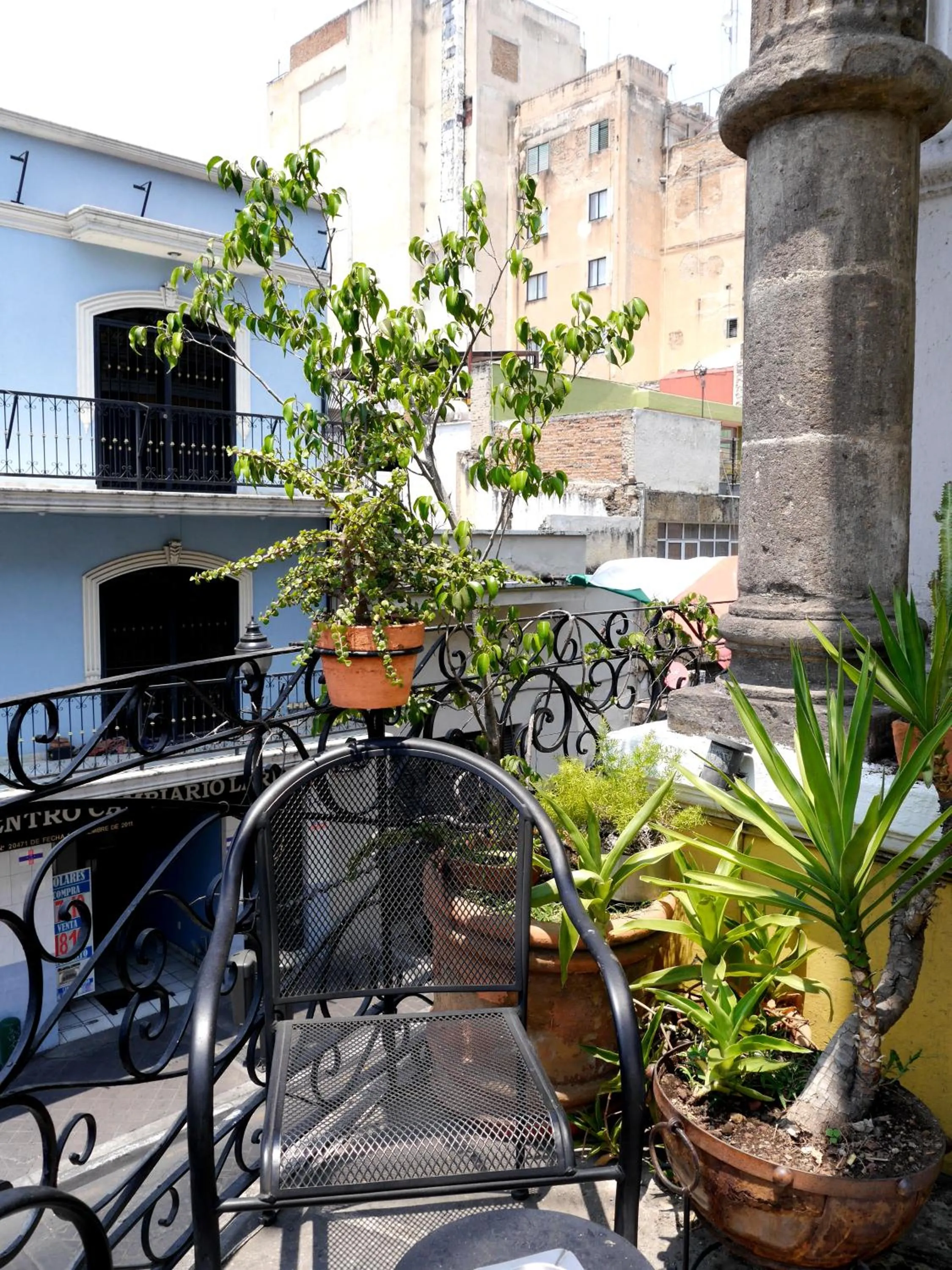 Balcony/Terrace in Hostel Hospedarte Centro