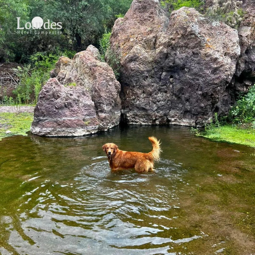 Lourdes Hotel Campestre