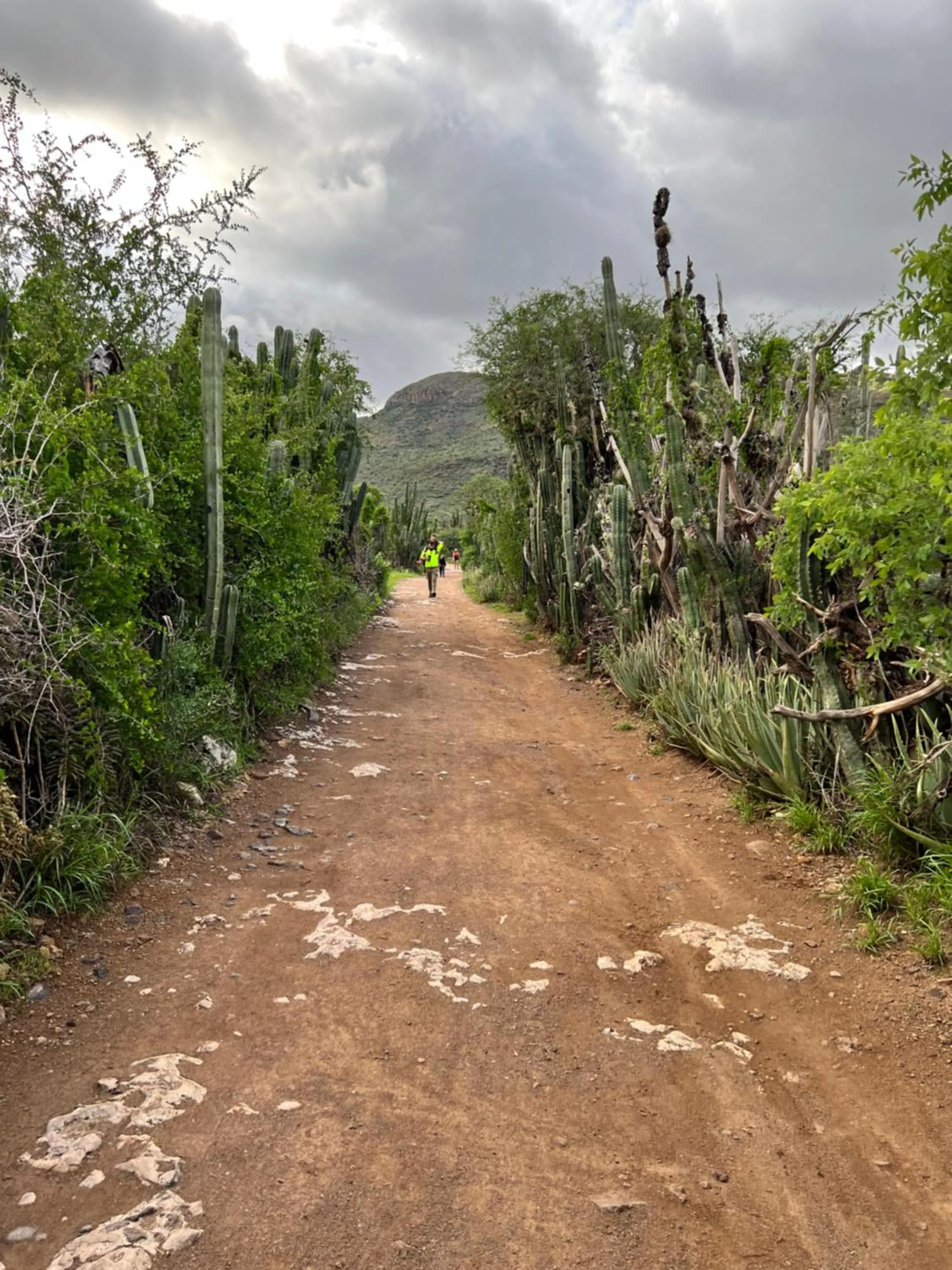 Hiking in Lourdes Hotel Campestre