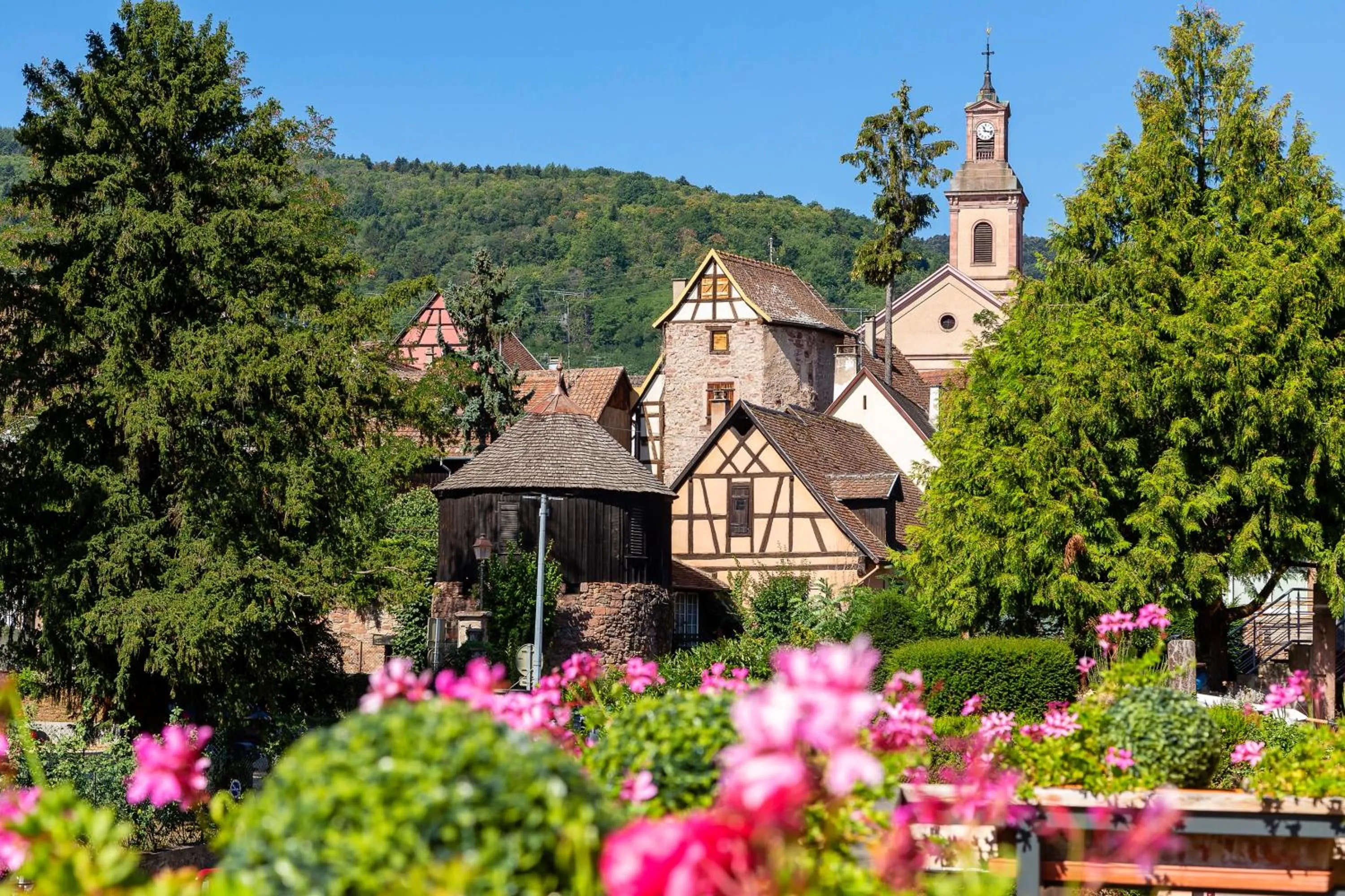 Nearby landmark in Best Western Plus Hotel & SPA Le Schoenenbourg