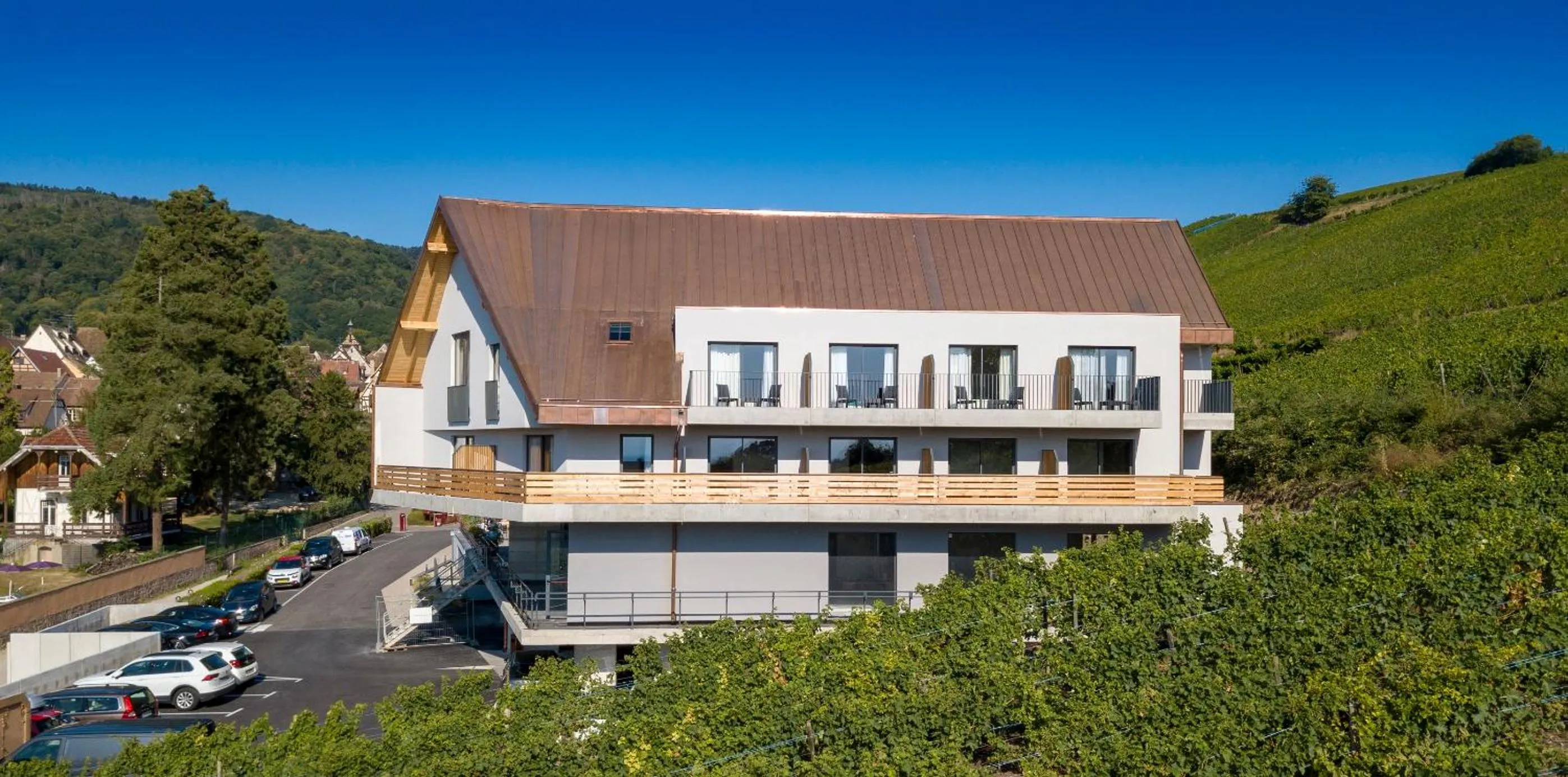 Bird's eye view in Best Western Plus Hotel & SPA Le Schoenenbourg