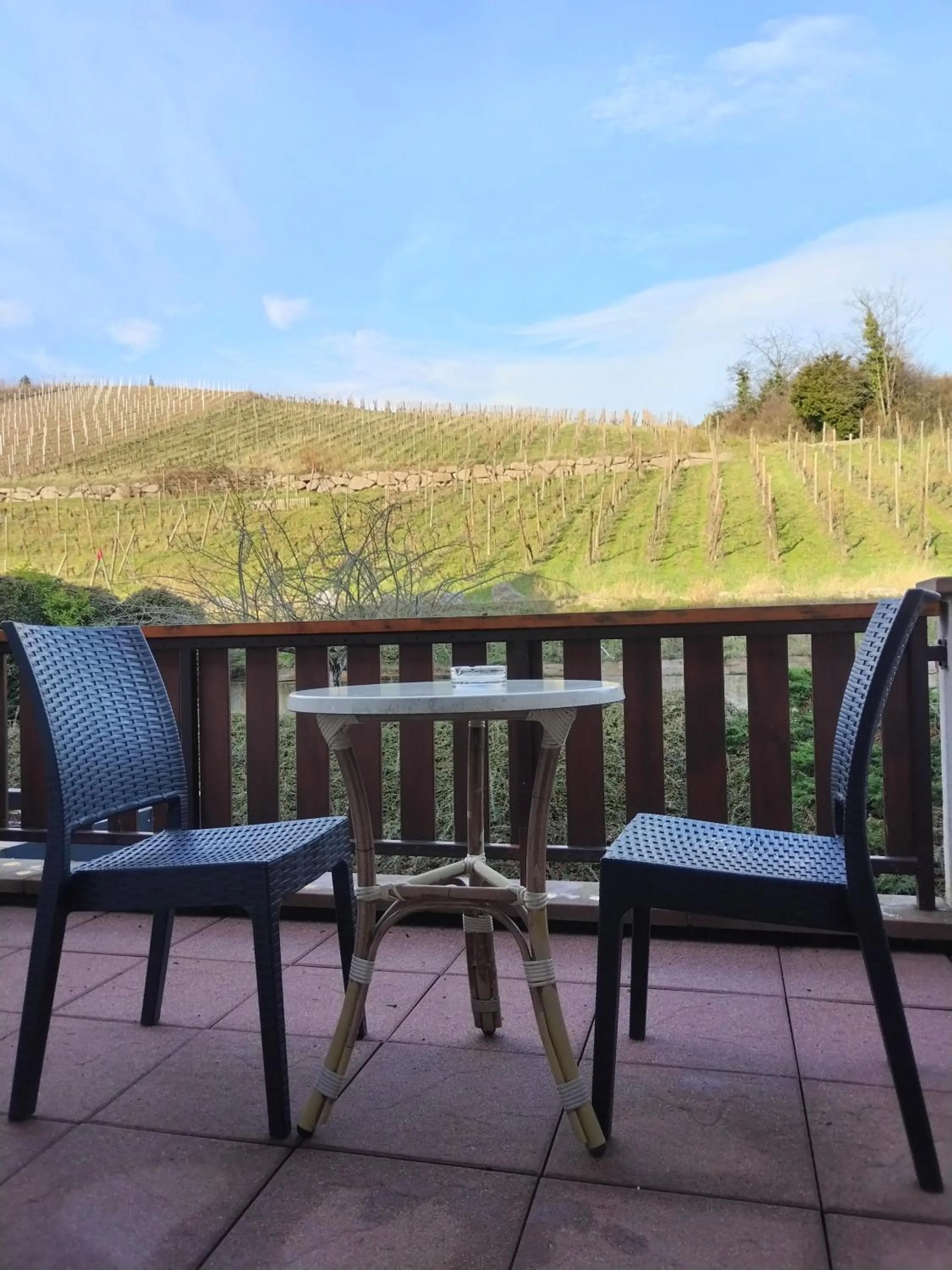 View (from property/room) in Best Western Plus Hotel & SPA Le Schoenenbourg