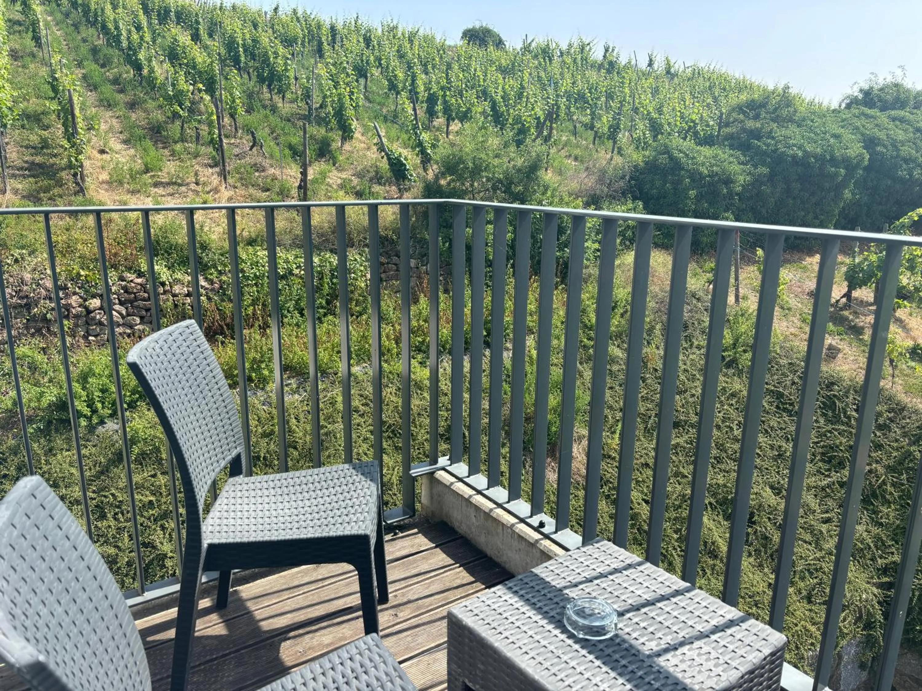 Best Western Plus Hotel & SPA Le Schoenenbourg