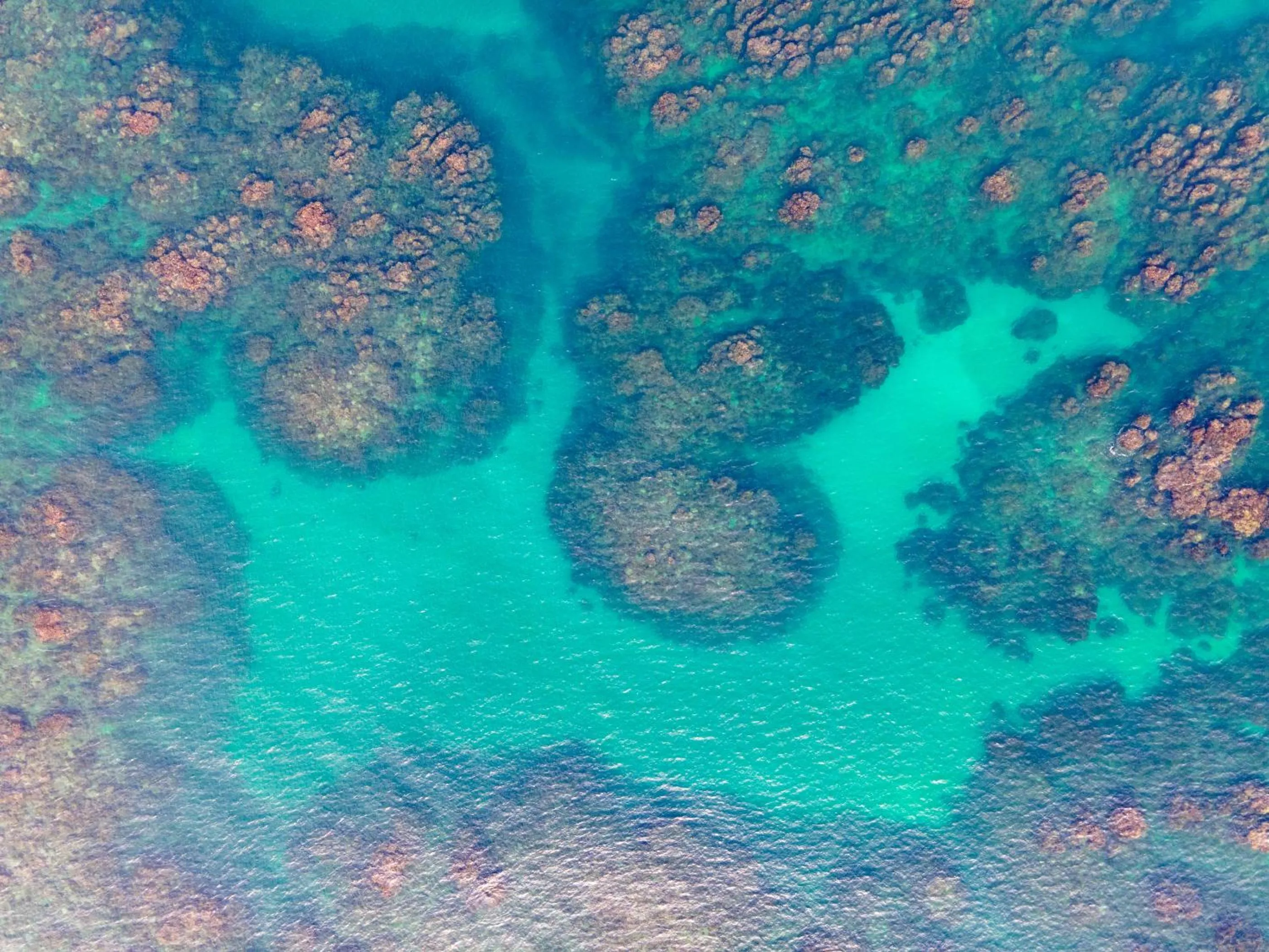 Bird's eye view in Namuwoki Lodge