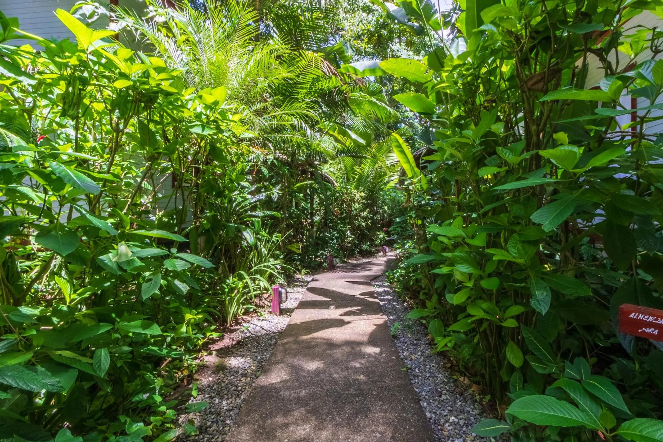 Garden in Namuwoki Lodge