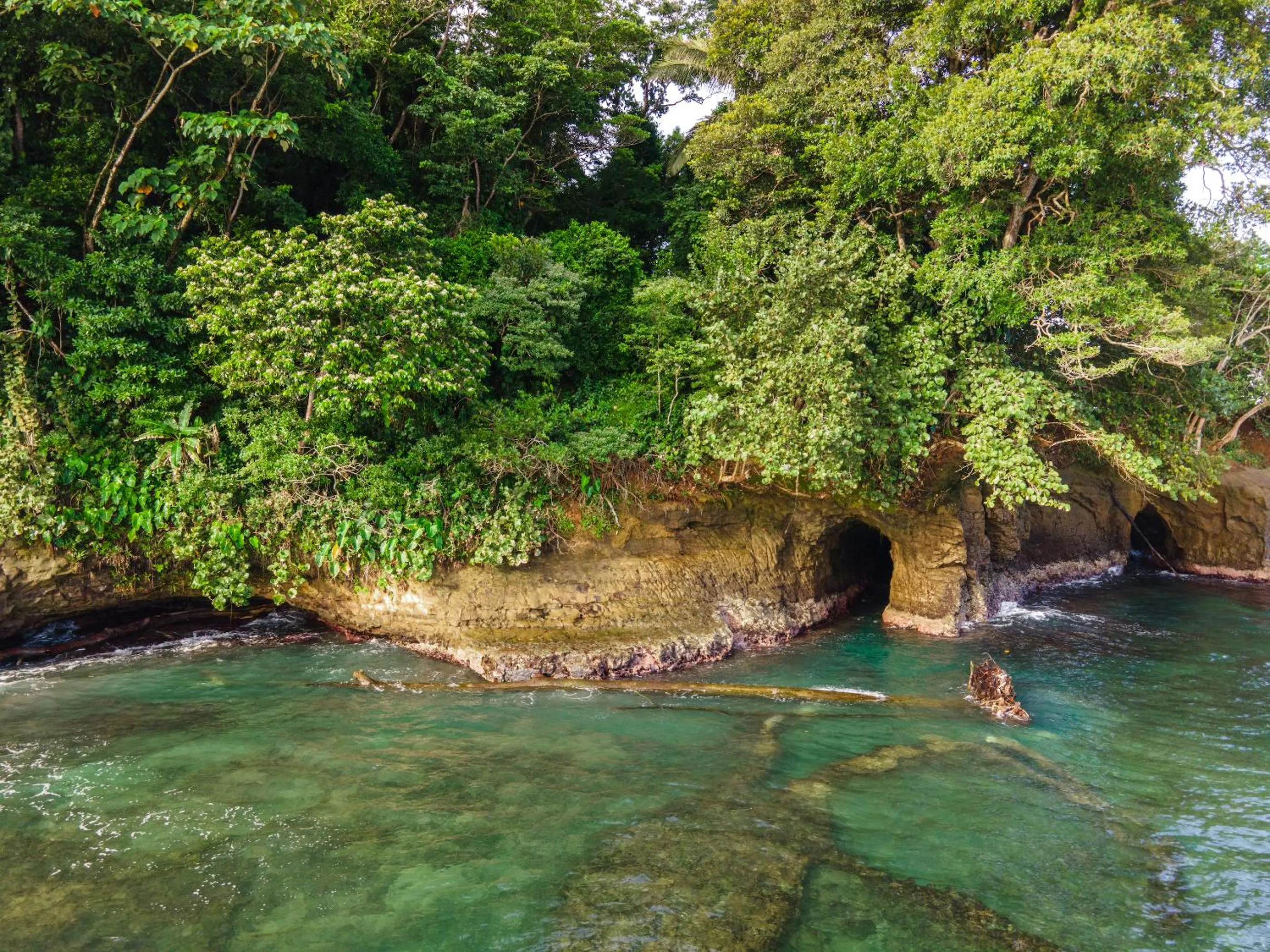 Natural landscape in Namuwoki Lodge