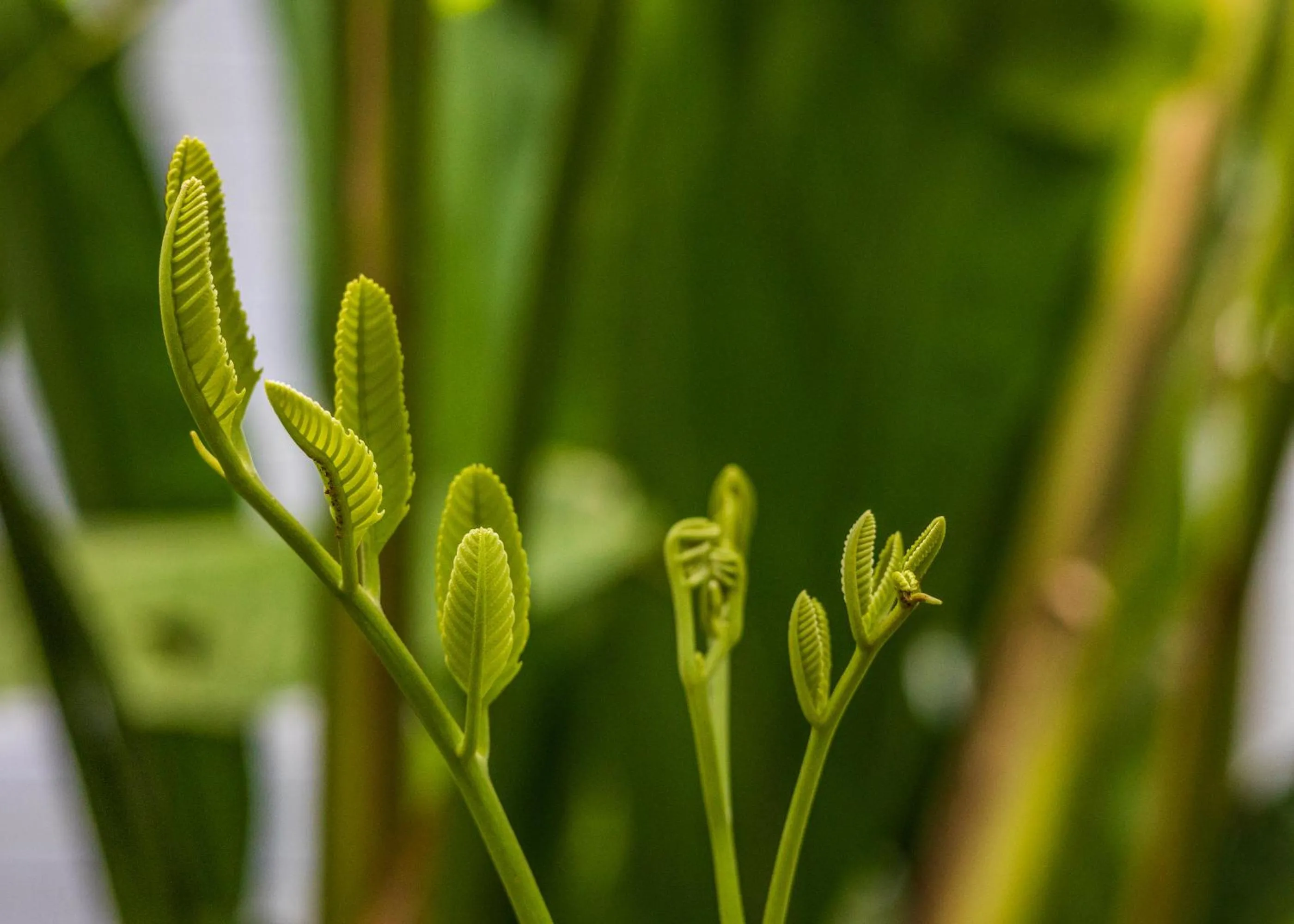 Natural landscape in Namuwoki Lodge