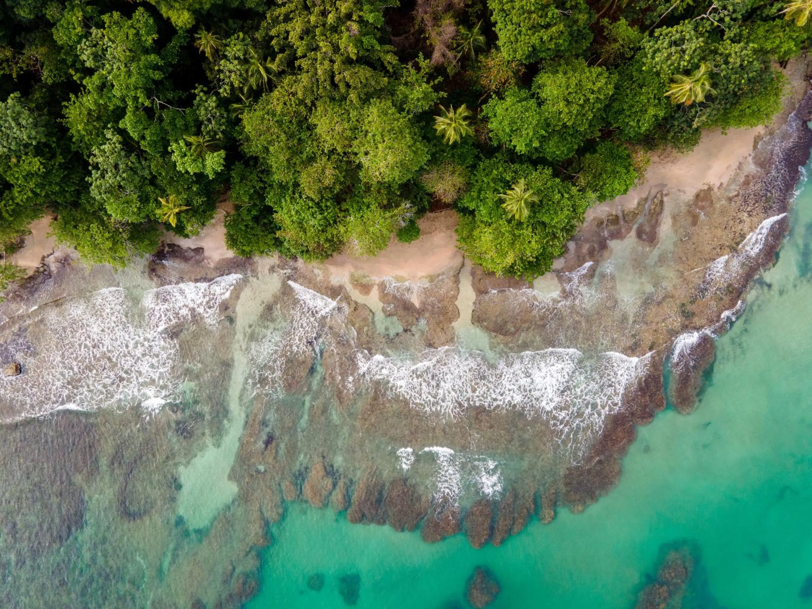 Natural landscape in Namuwoki Lodge