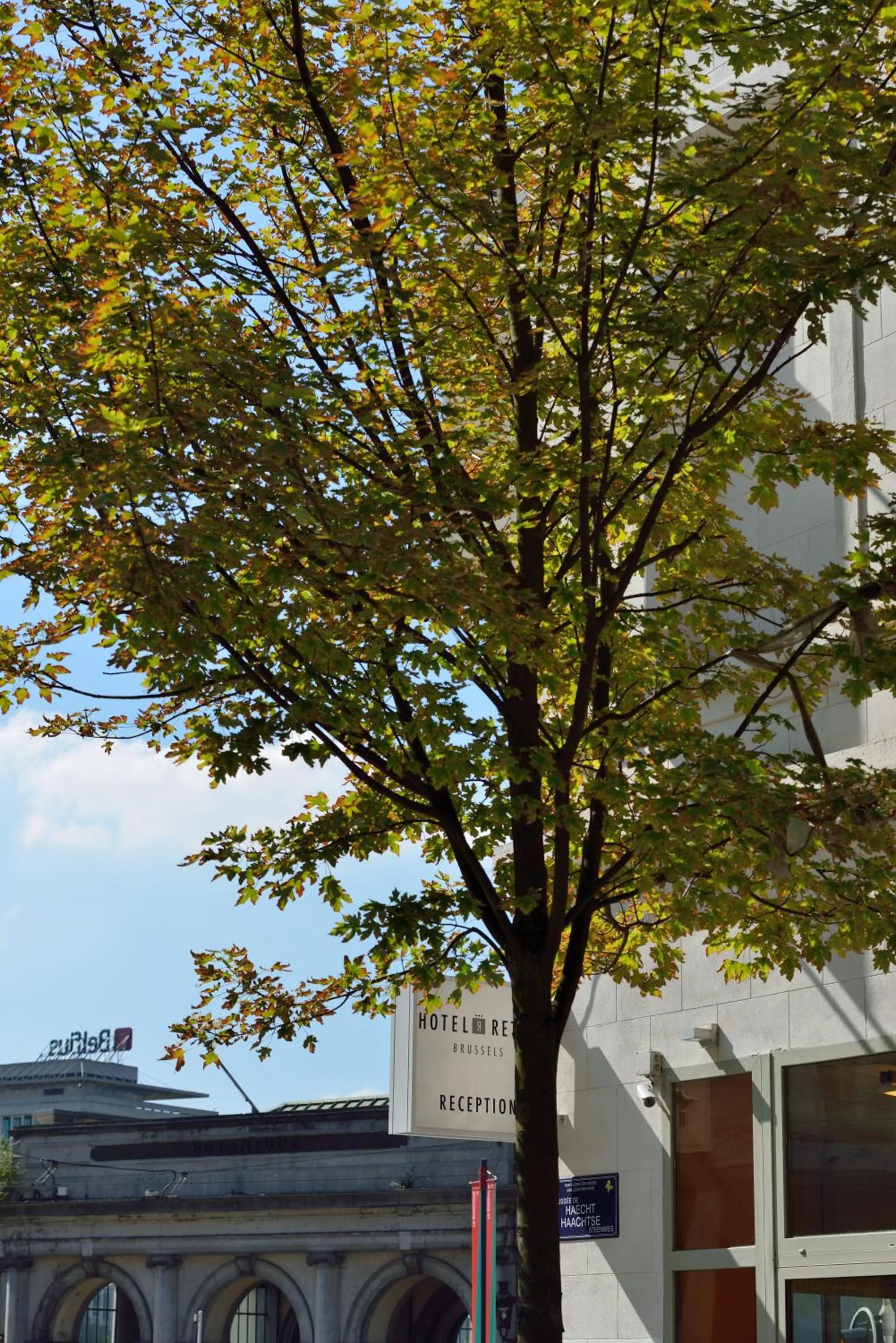 Logo/Certificate/Sign in Hotel Retro