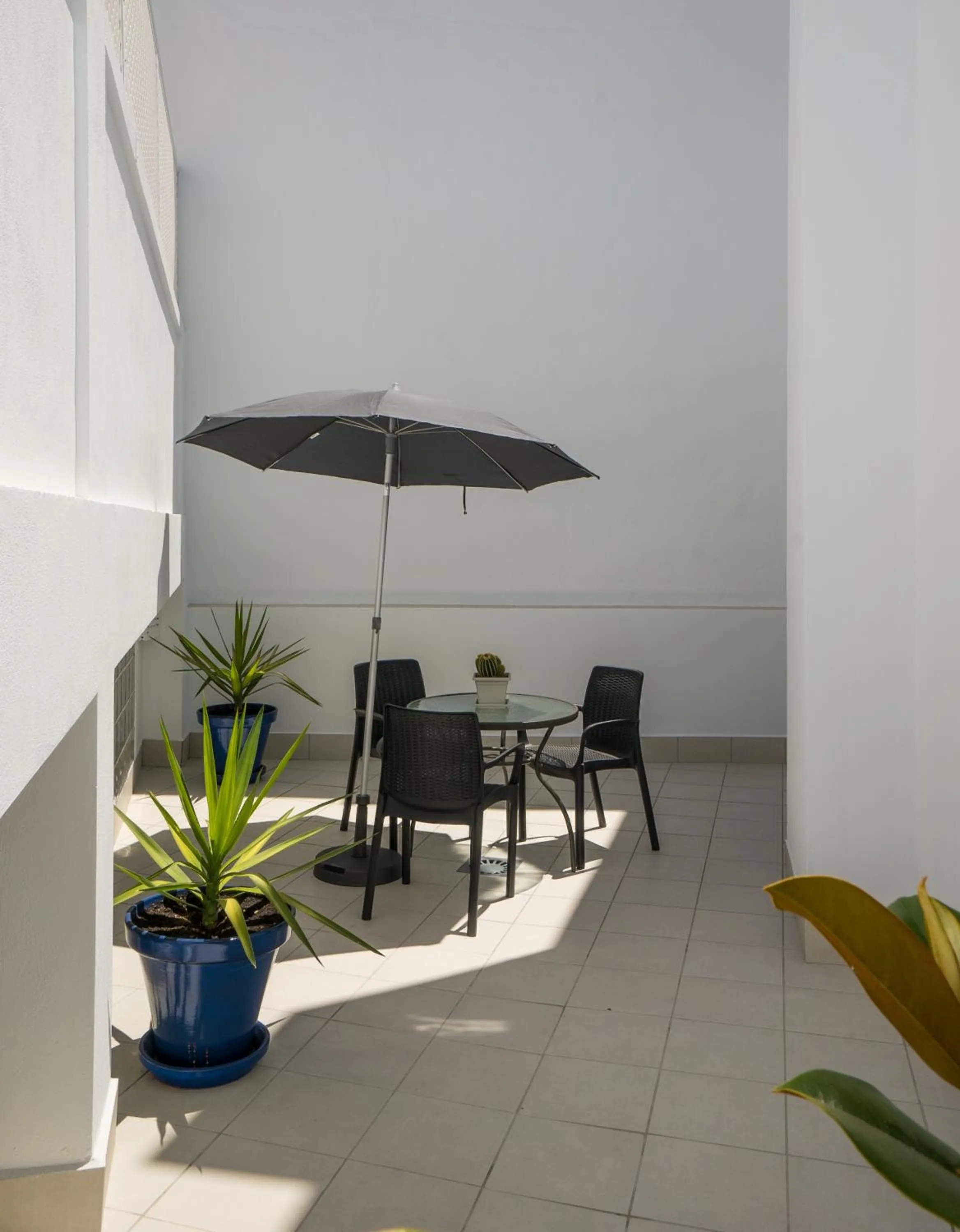 Patio in Apartamentos Mombasa 1 Planta