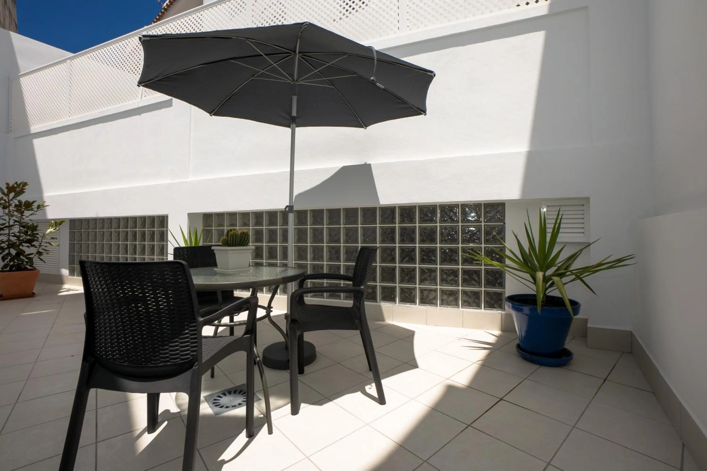 Patio in Apartamentos Mombasa 1 Planta