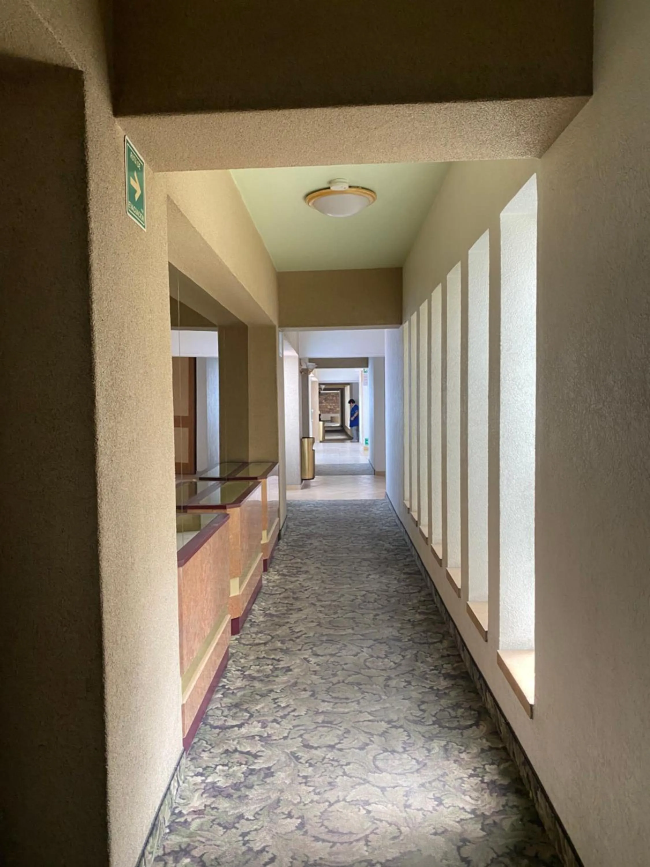 Property building in Hotel Villa de Madrid