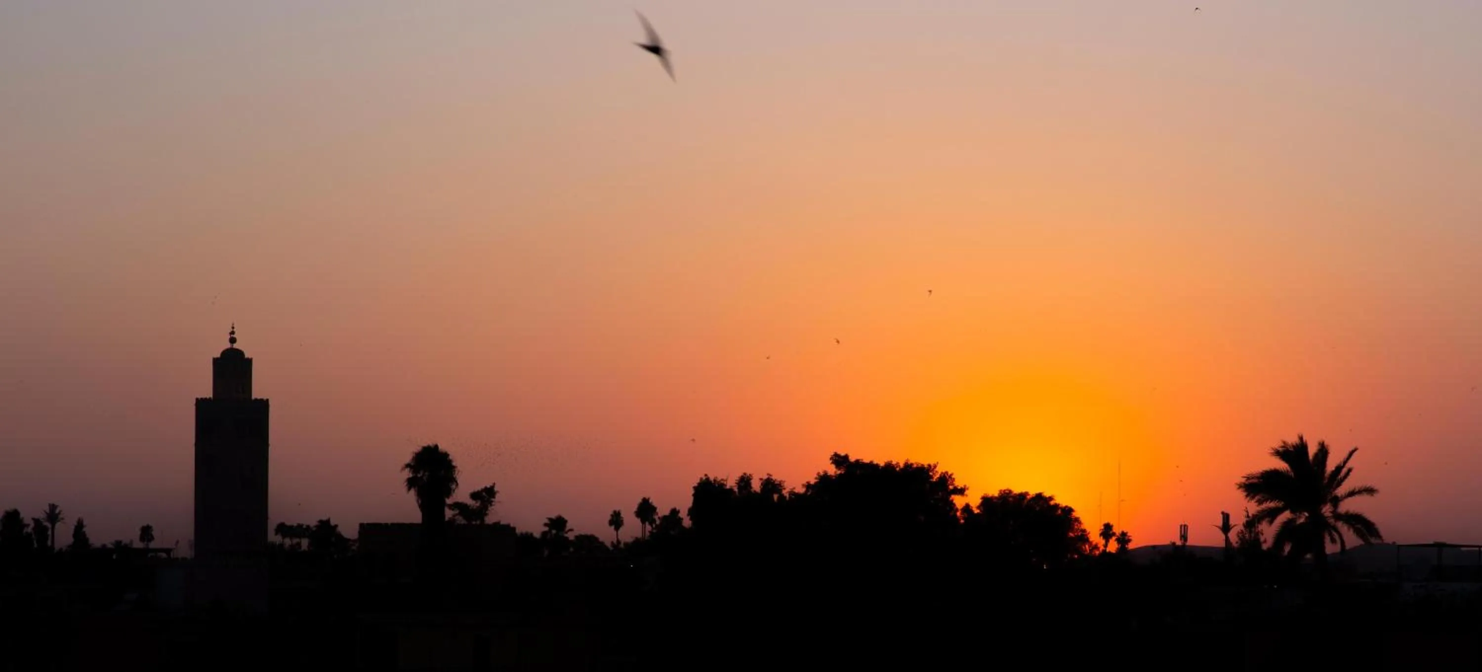 City view in Riad Tajania