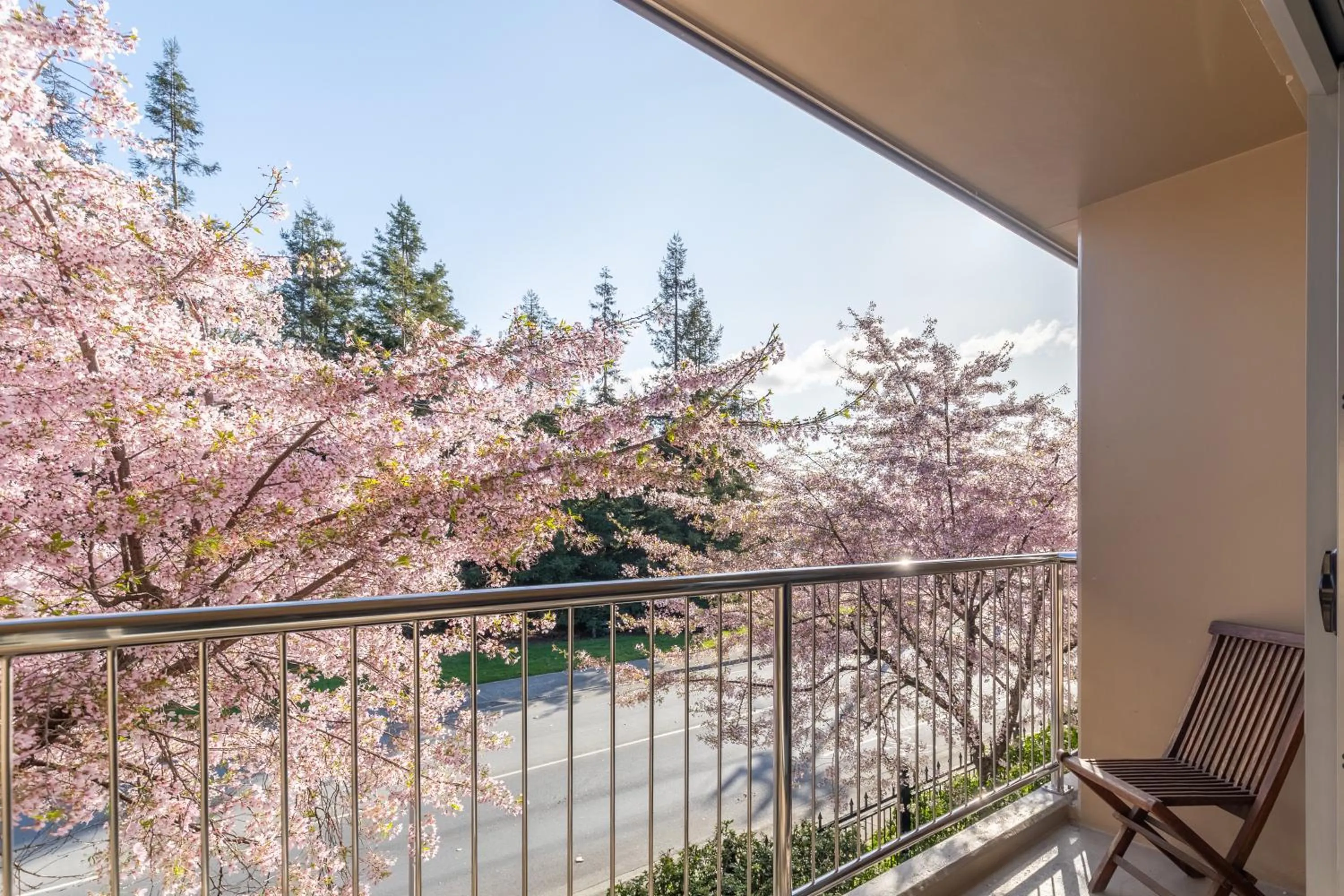 Spring in Saxton Lodge