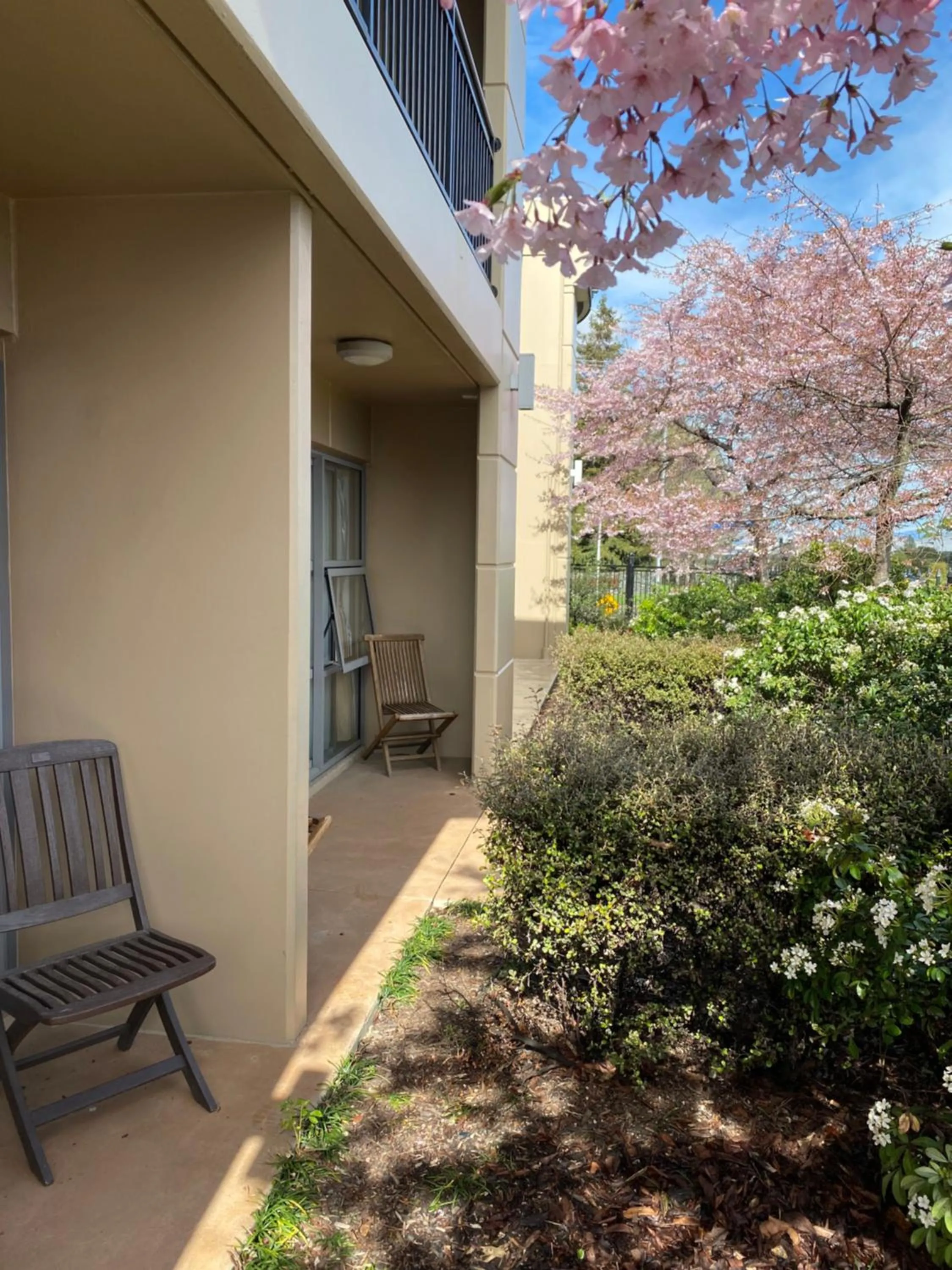 Property building in Saxton Lodge