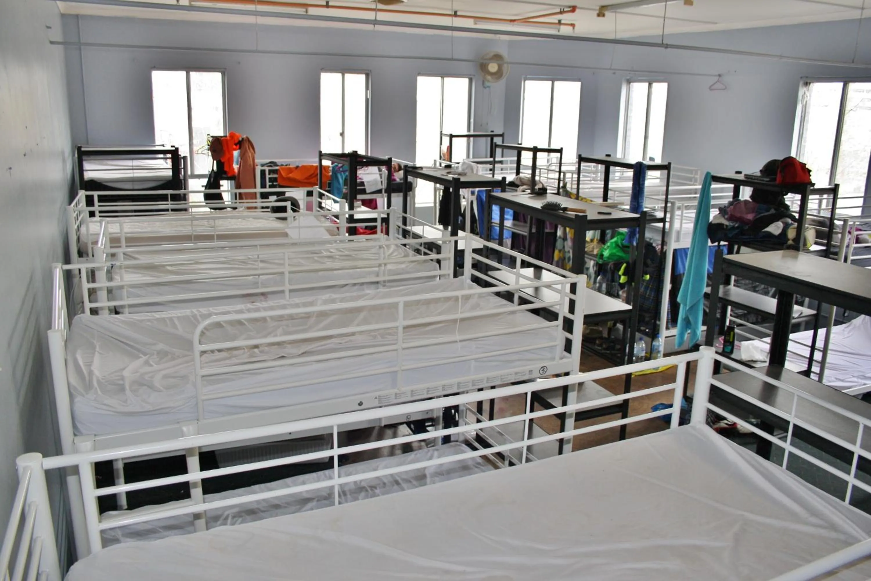 bunk bed, Bed in The Hive Hostel - Traveler Friendly, Passport Only