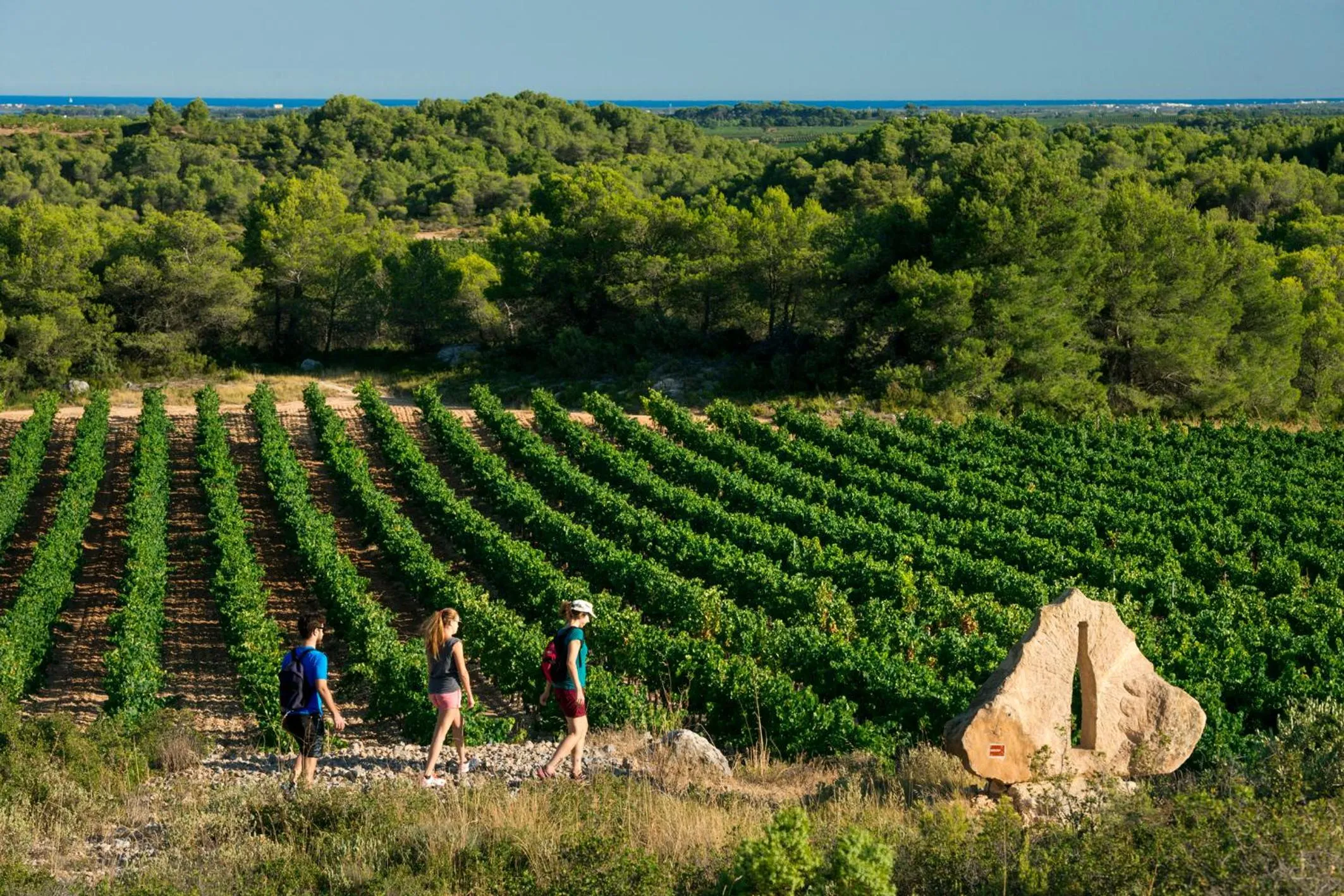 Palmyra Golf Hotel & Spa