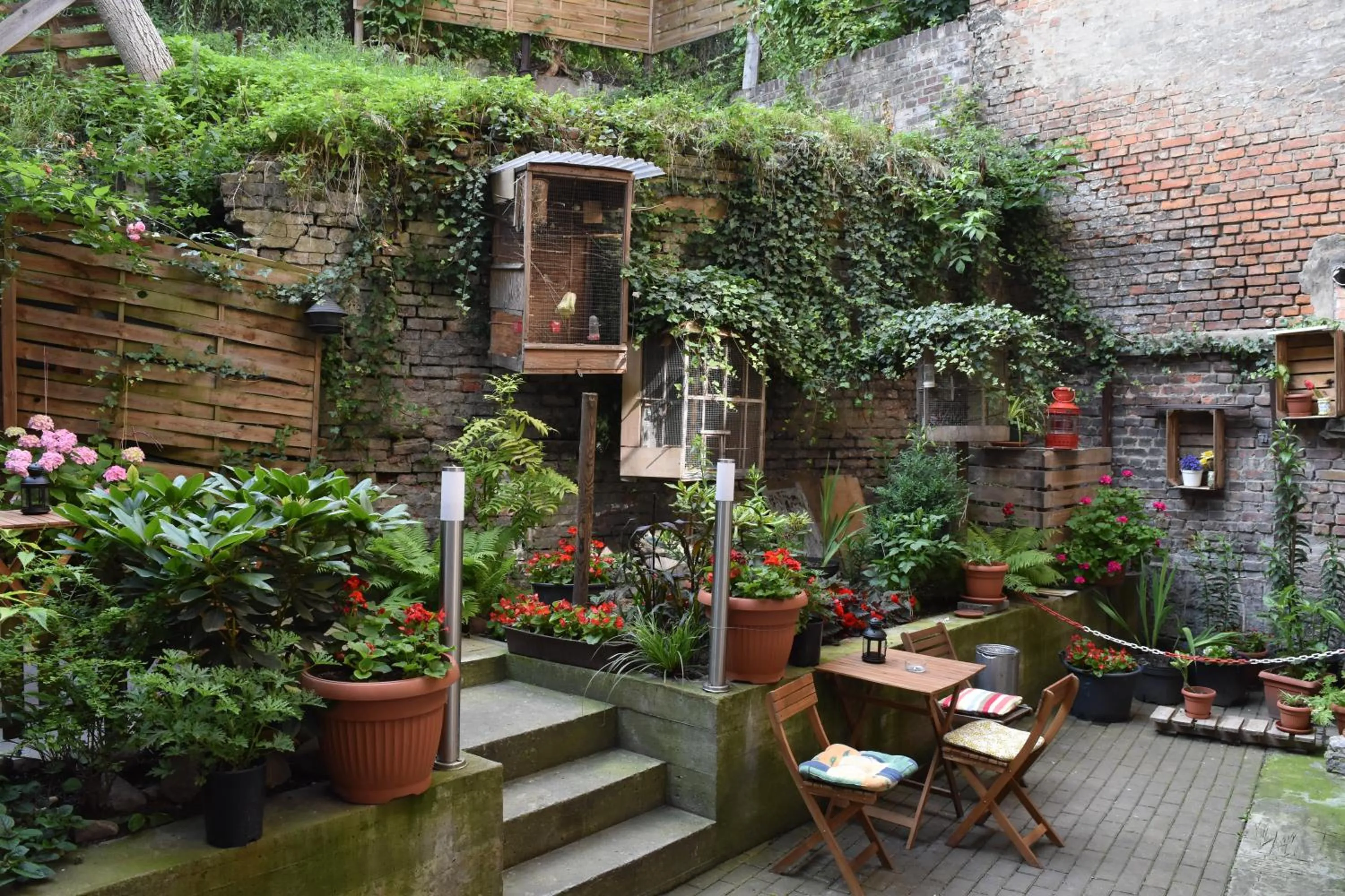 Garden in Baltic Hostel