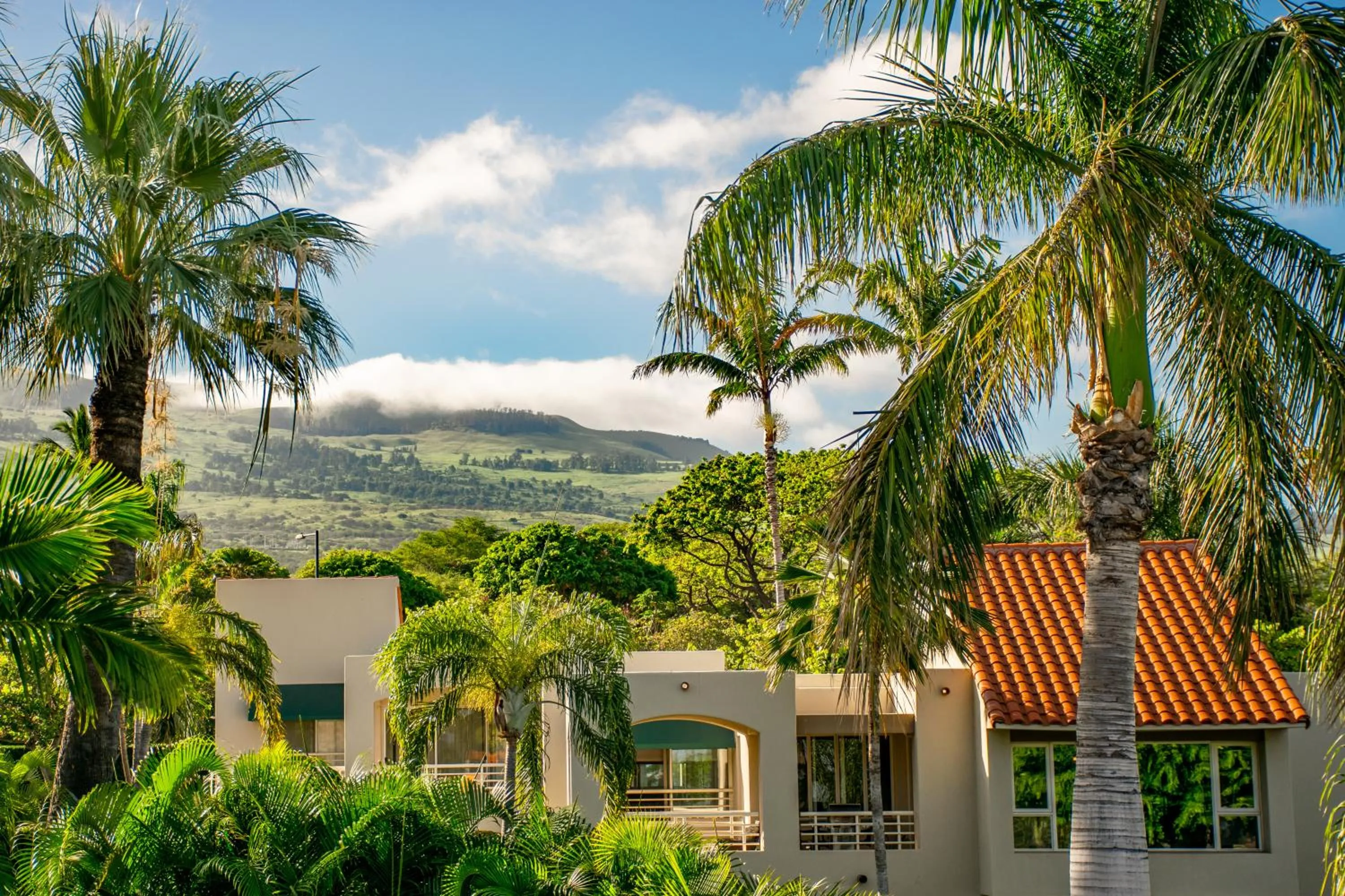 Property building in Palms at Wailea