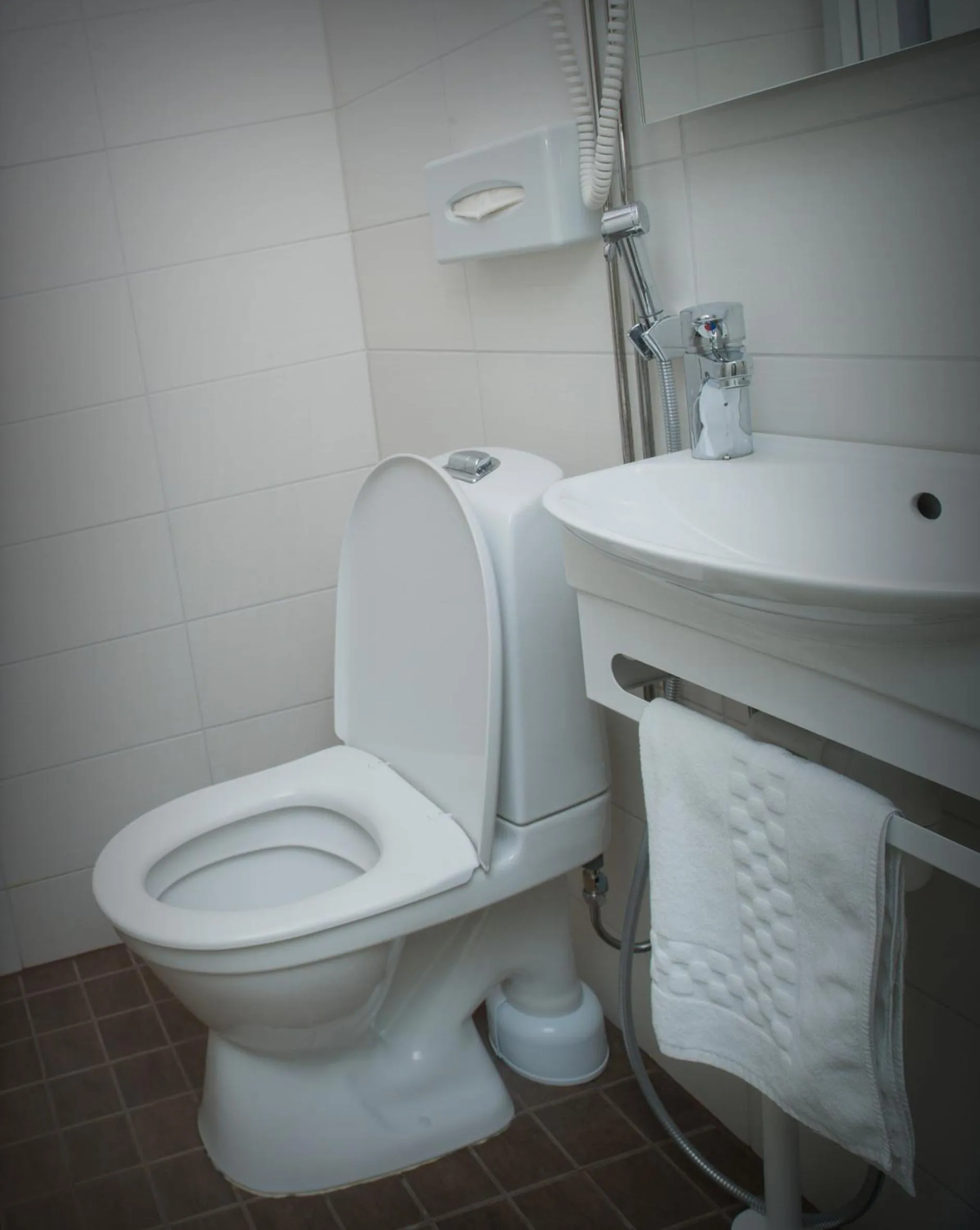 Hotel Golden Dome Iisalmi