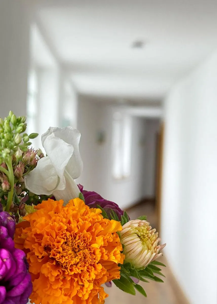 Decorative detail in Greifensteiner Hof