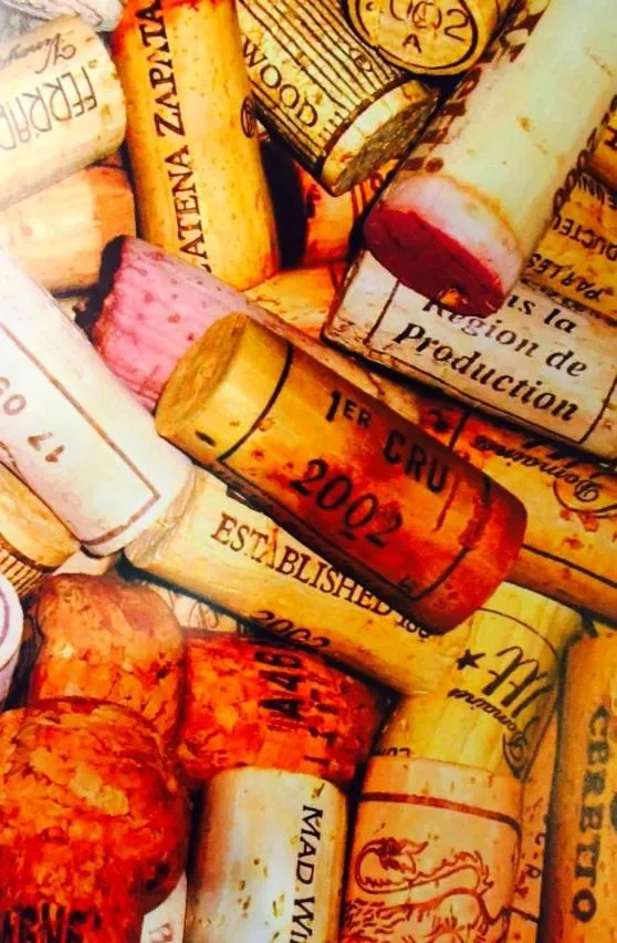 Food and drinks in Greifensteiner Hof