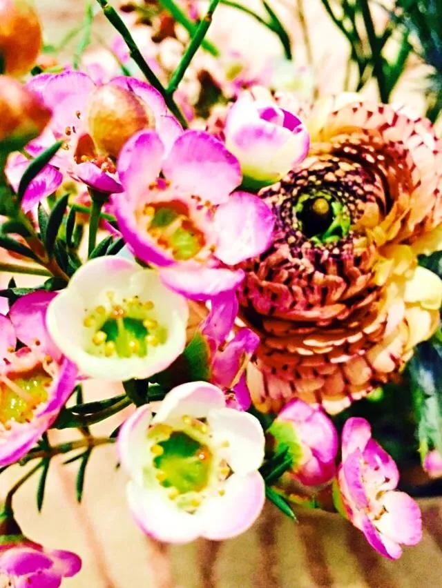 Spring in Greifensteiner Hof