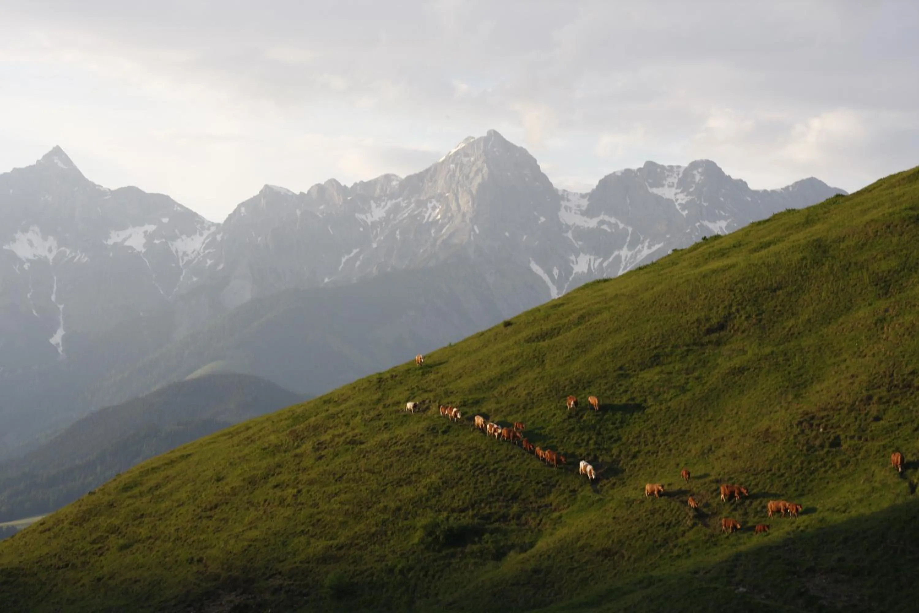 Biobauernhof Jagglhof