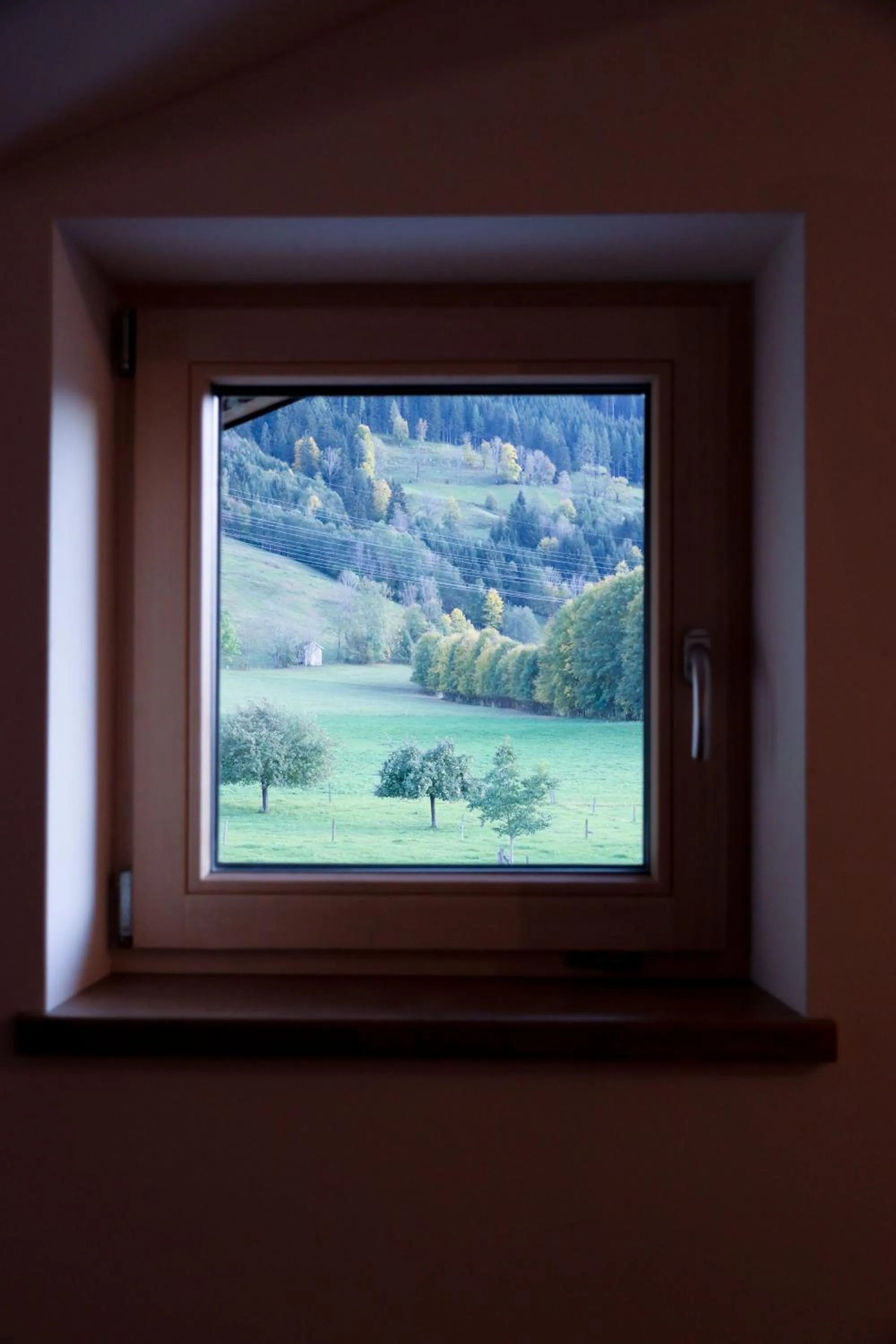 Biobauernhof Jagglhof