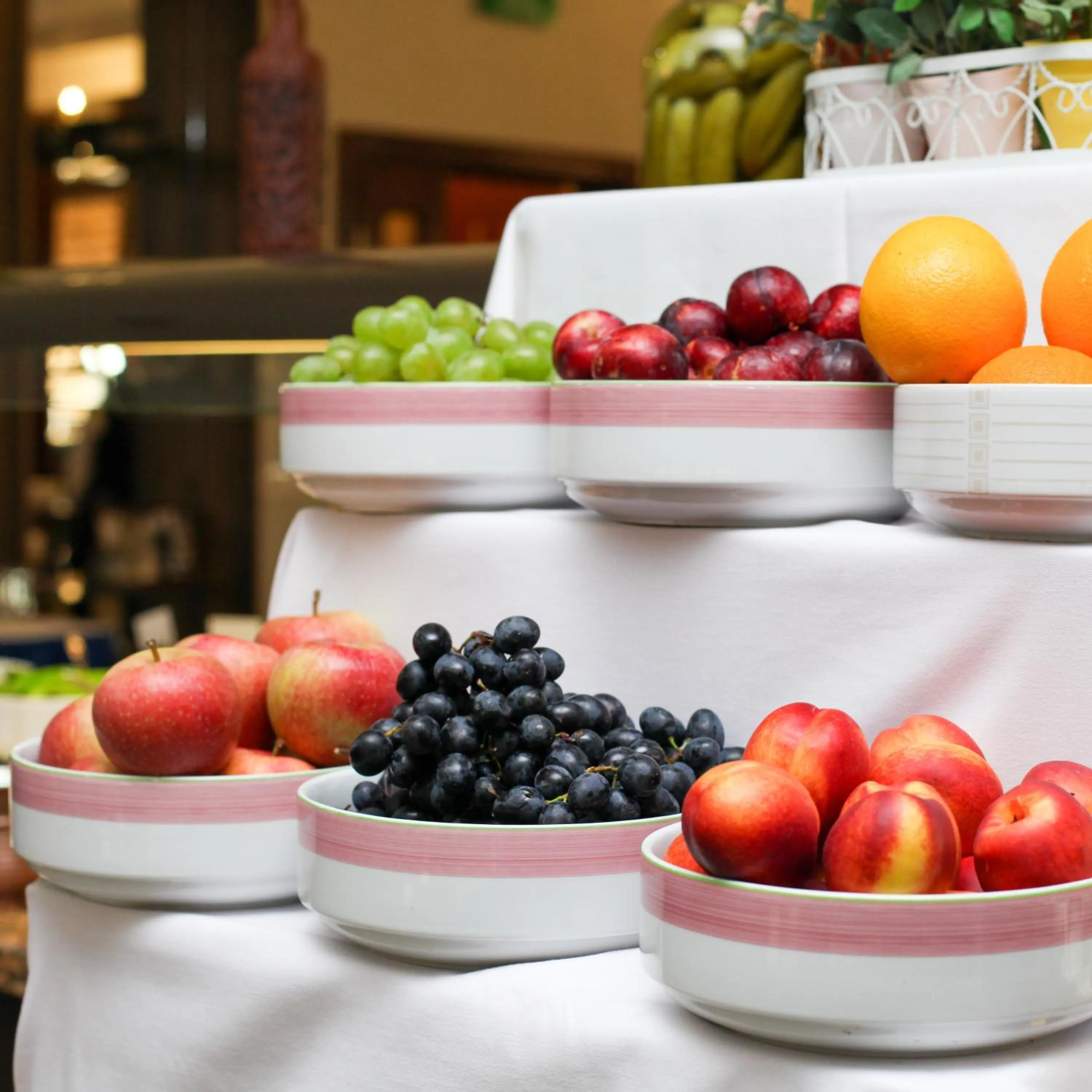 Food and drinks in Shah Palace Luxury Museum Hotel