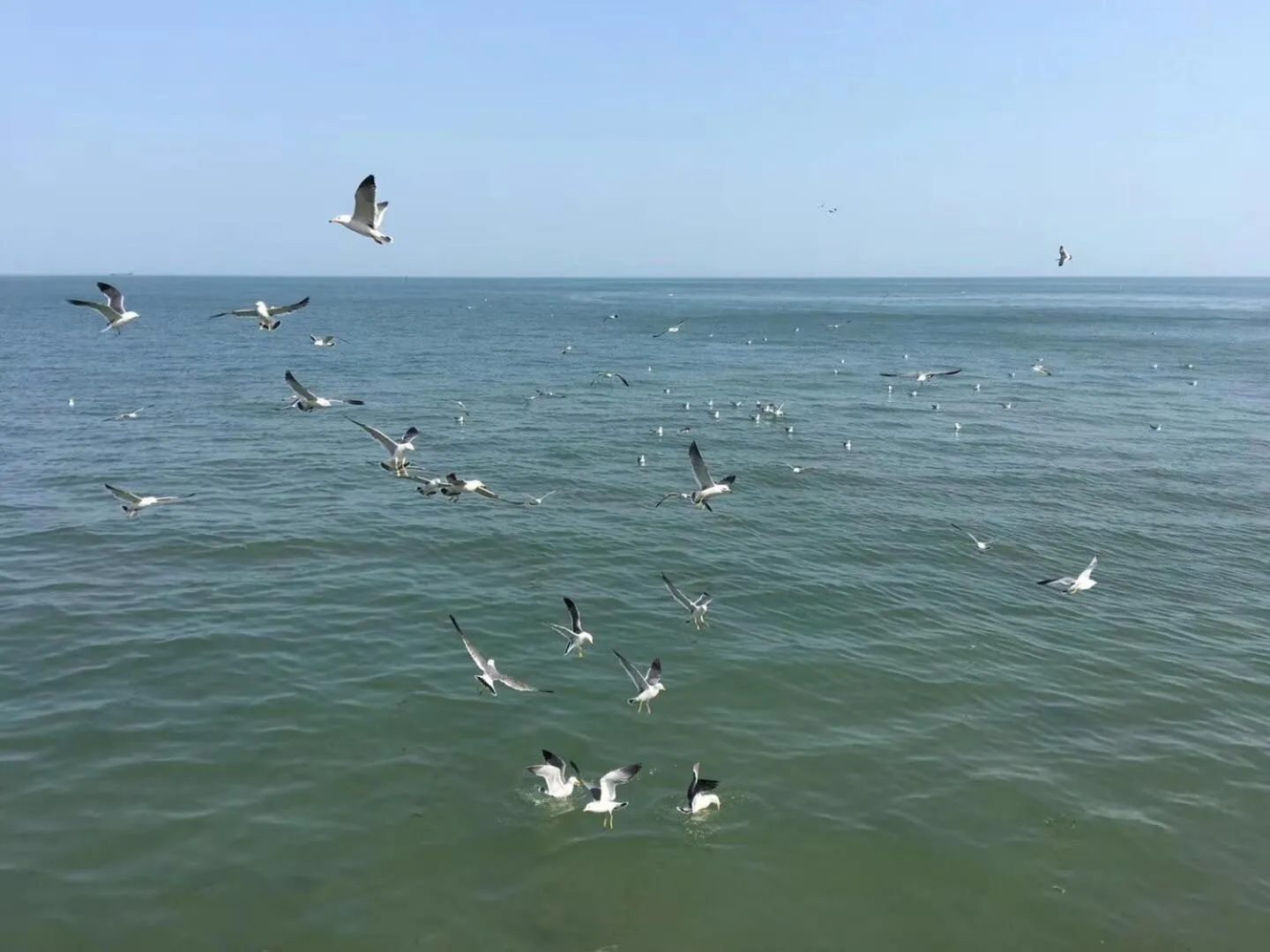 Golden Gulf Hotel Yantai