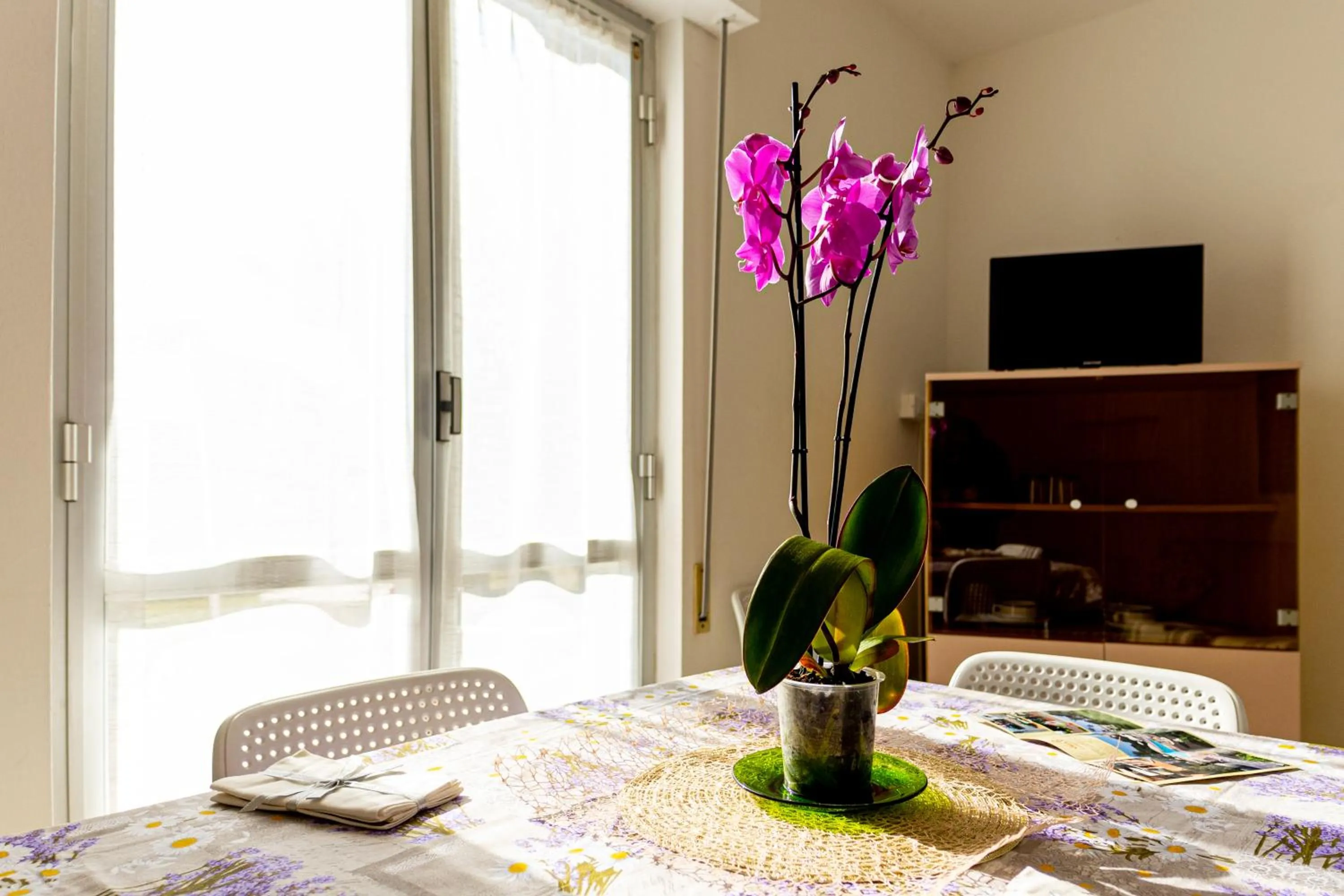 TV and multimedia in Loano Apartment Pool & Garden