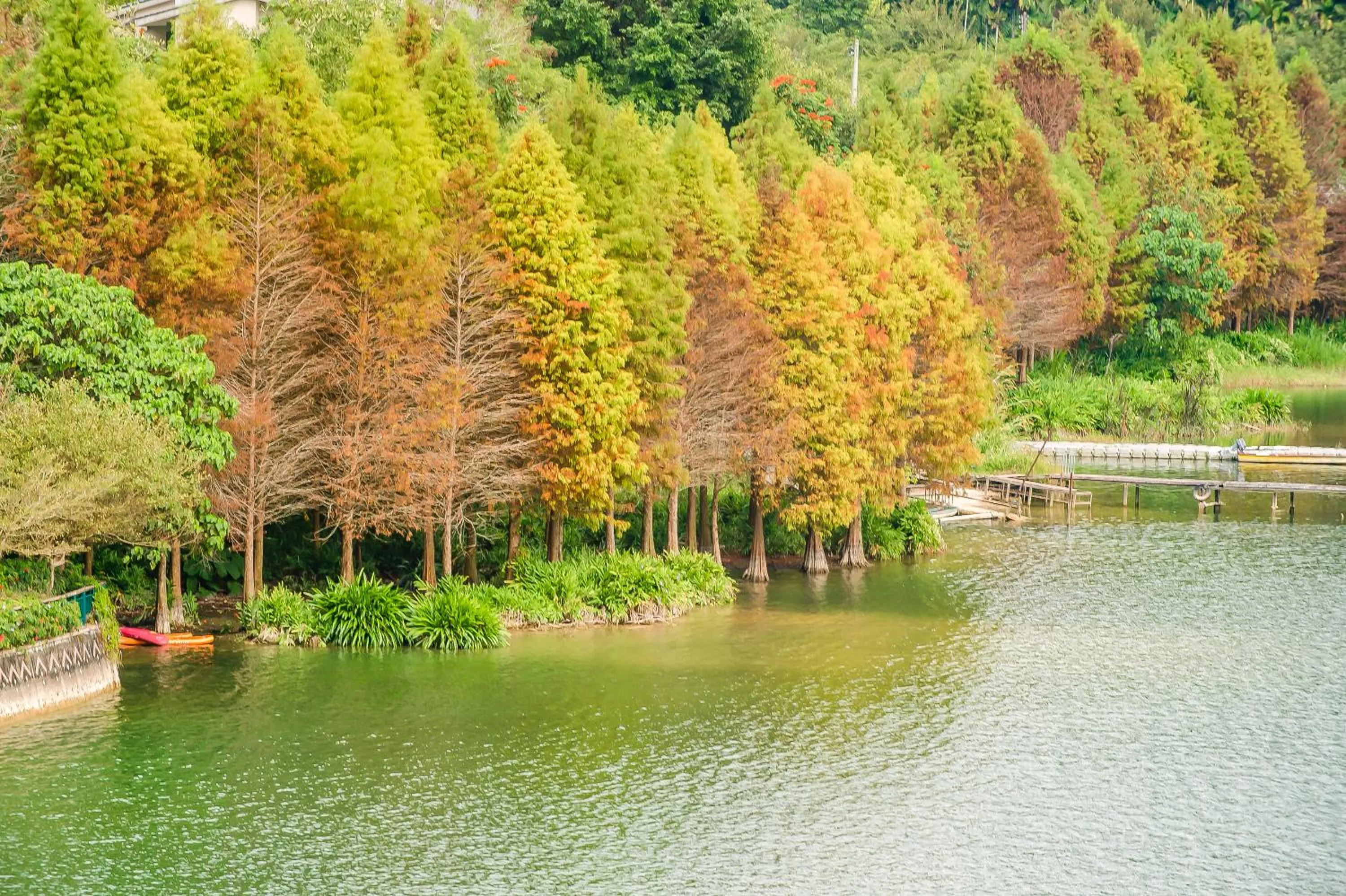 Natural landscape in Sun Moon Lake I Love You