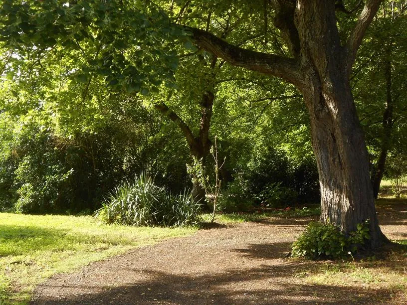Garden view in Clos du Bois Brard B&B