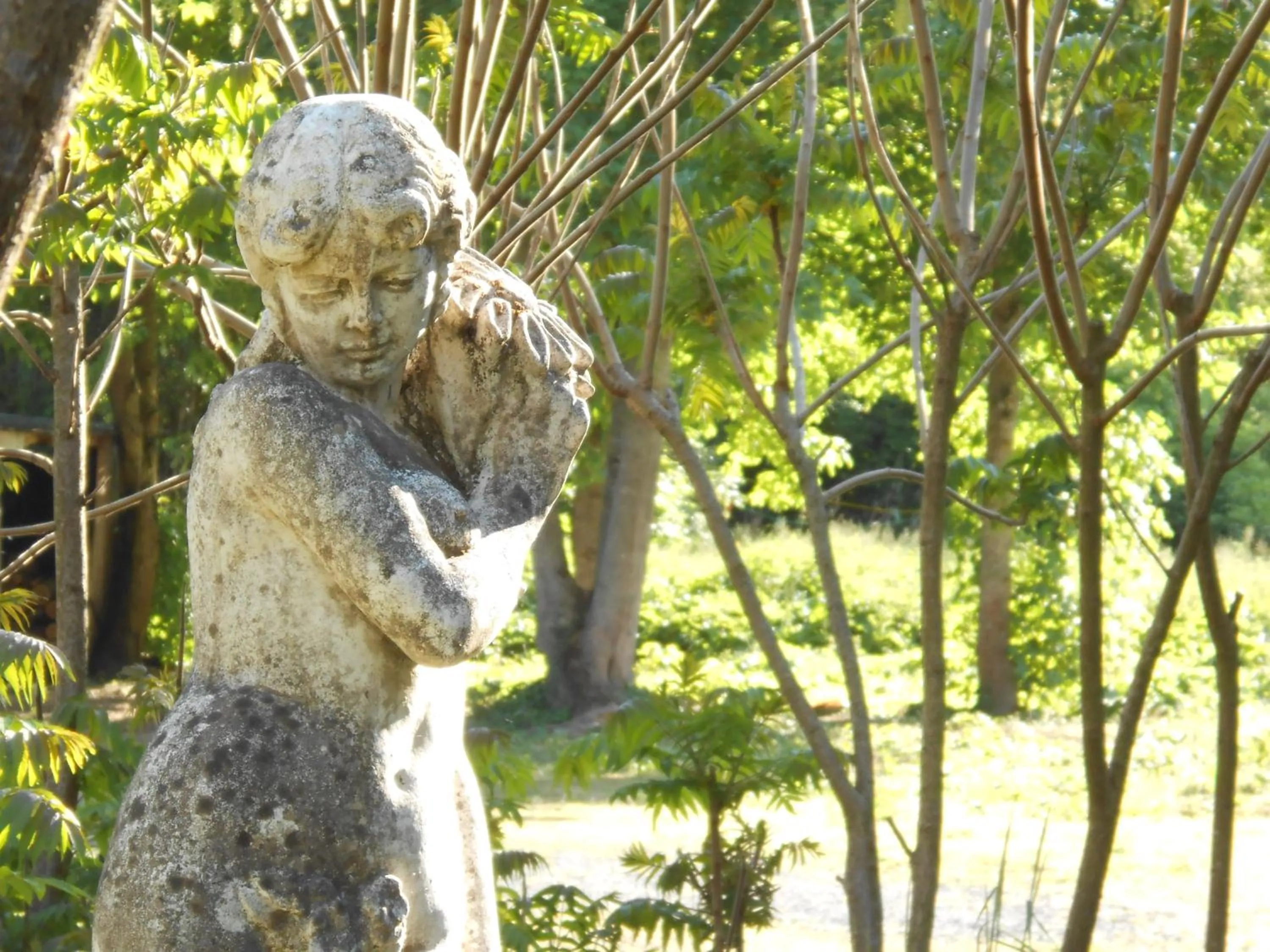 Garden in Clos du Bois Brard B&B