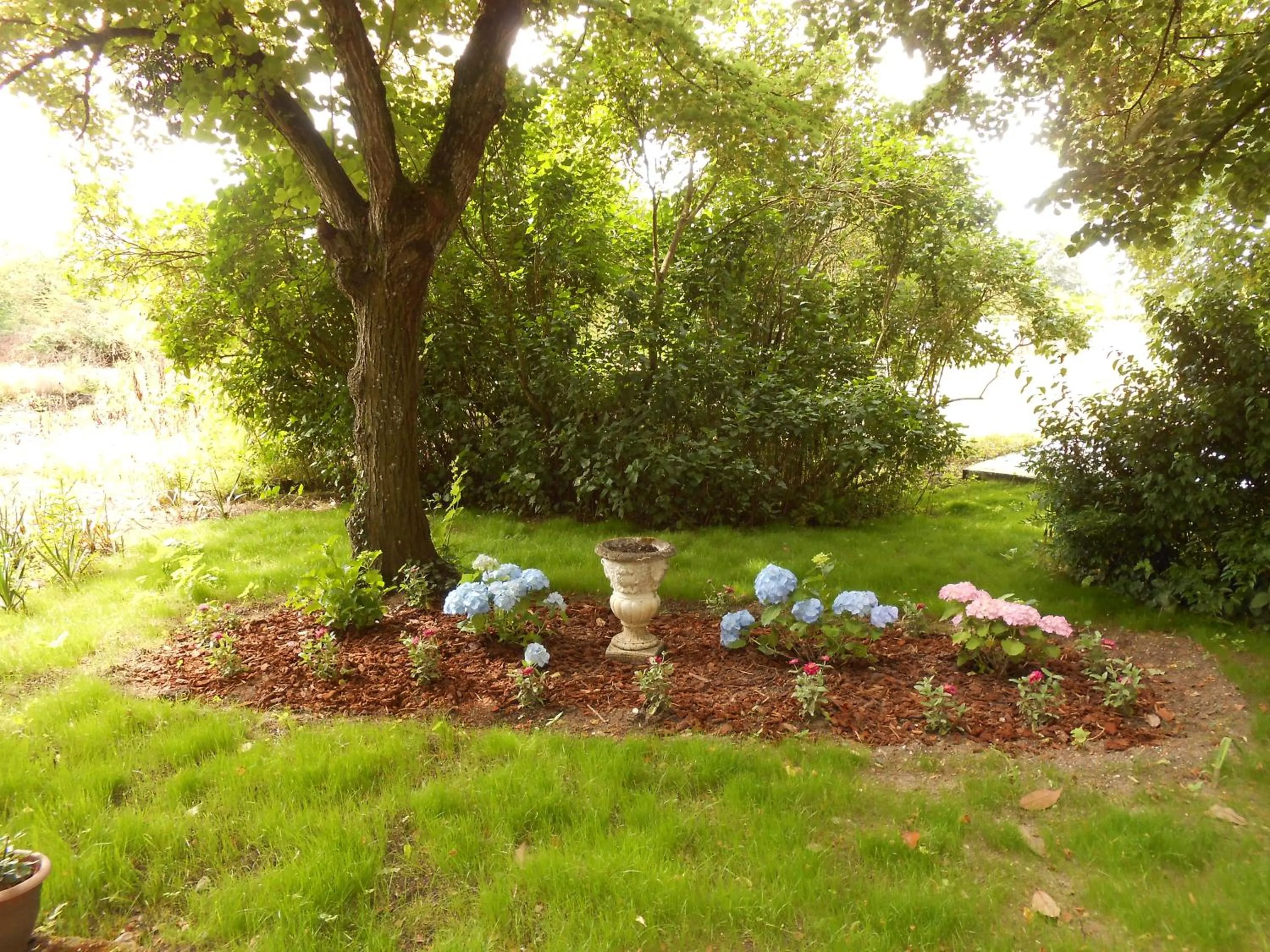 Garden in Clos du Bois Brard B&B