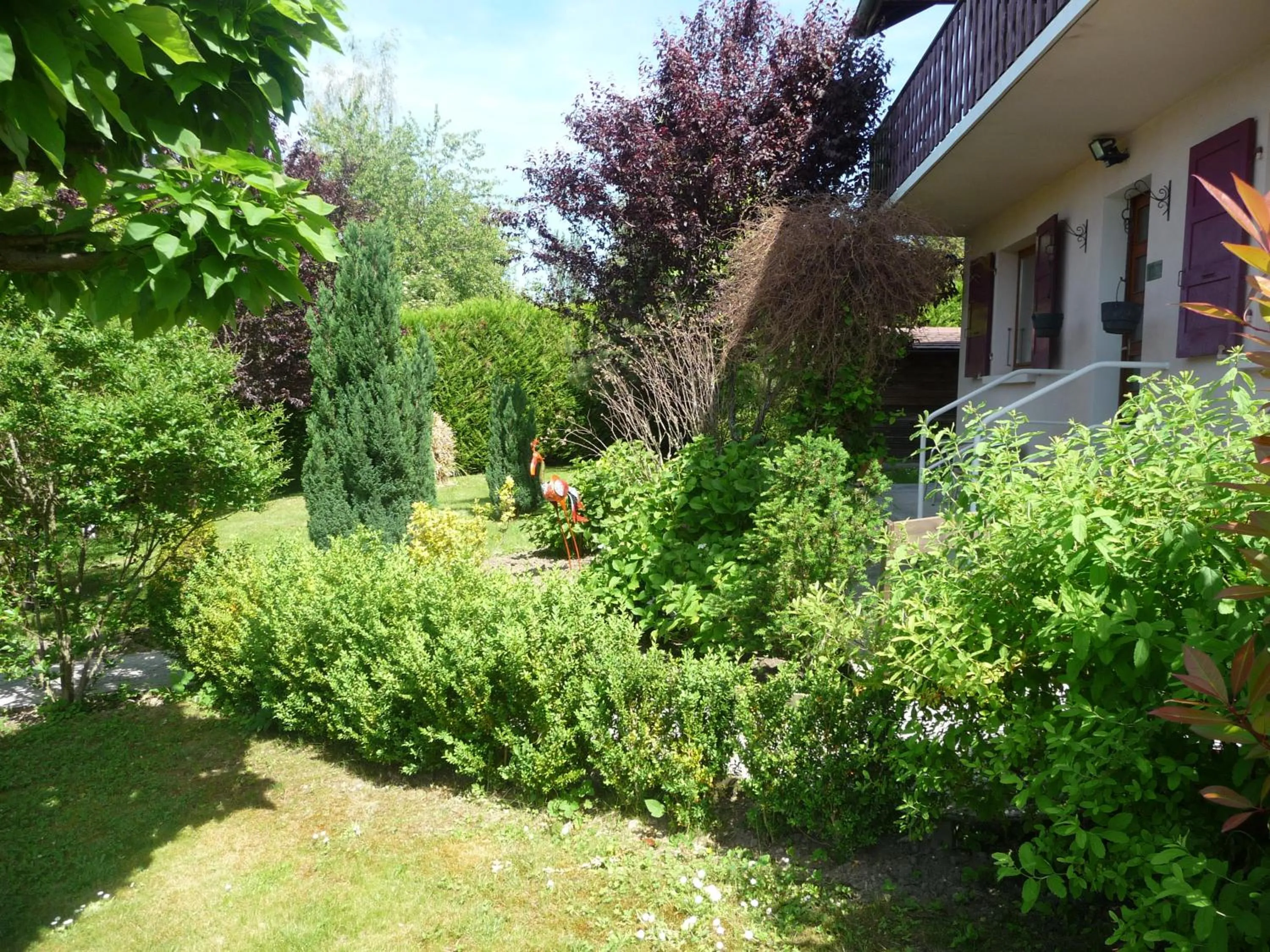 Spring in L'Oasis