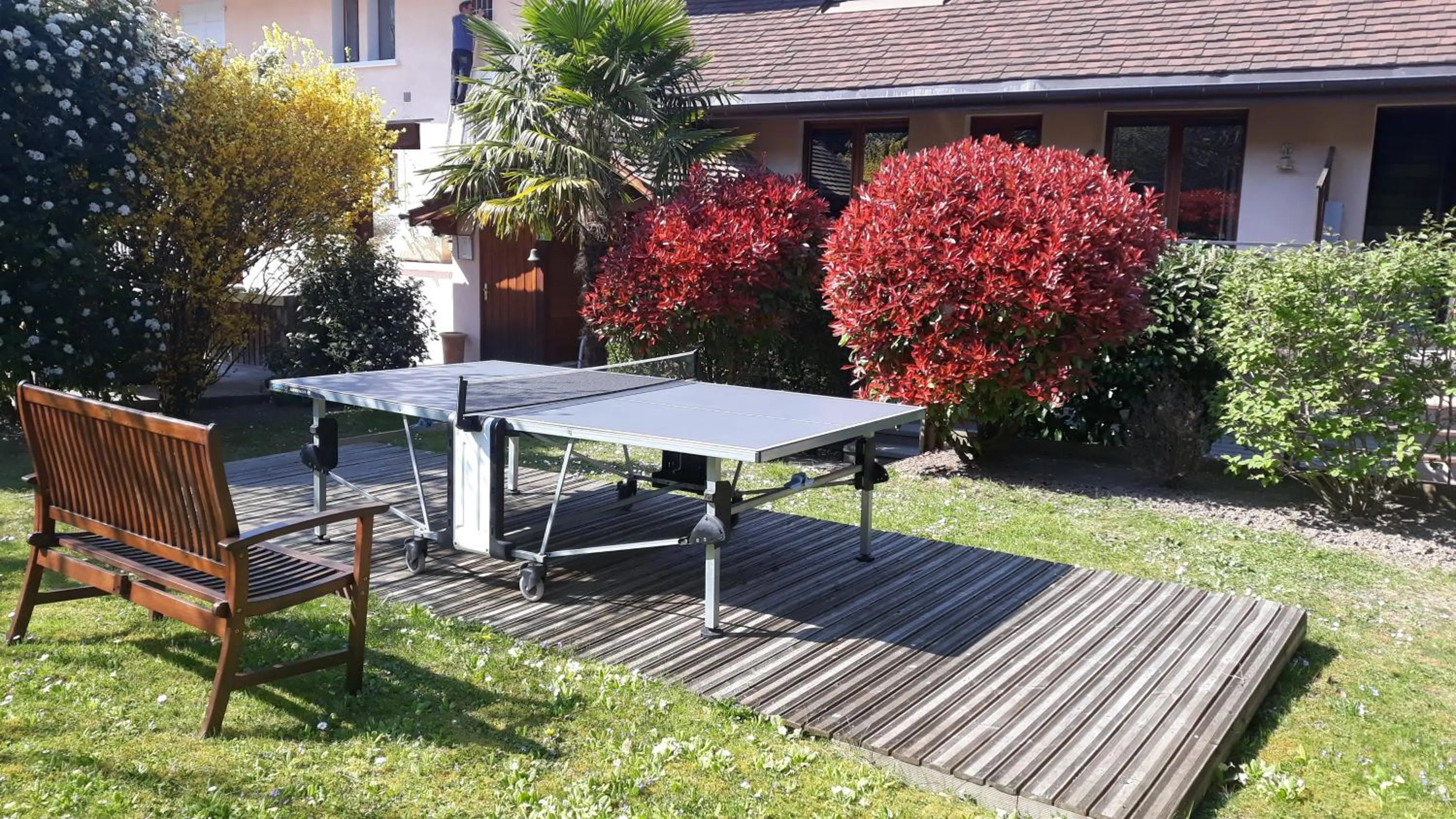 Spring in L'Oasis