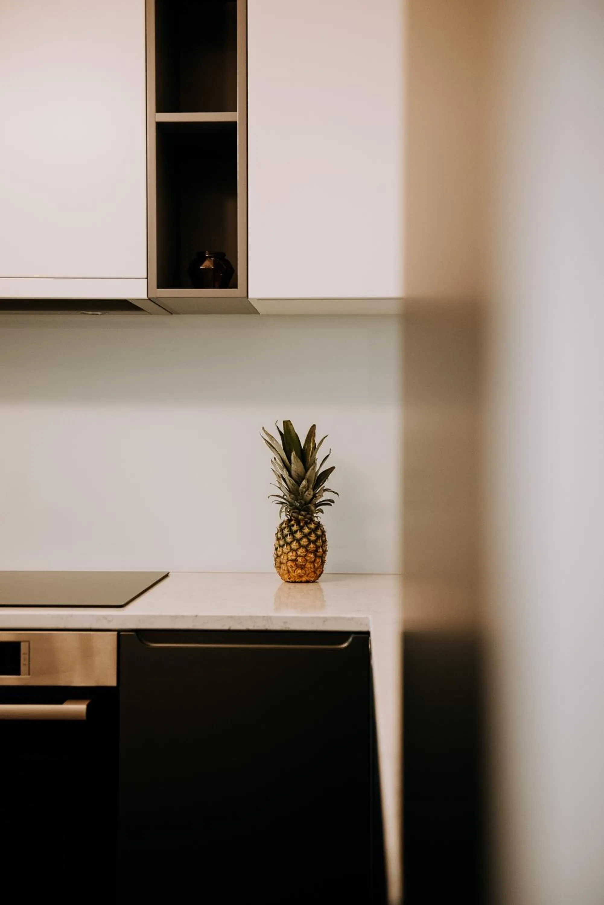 ZEN Central Apartments