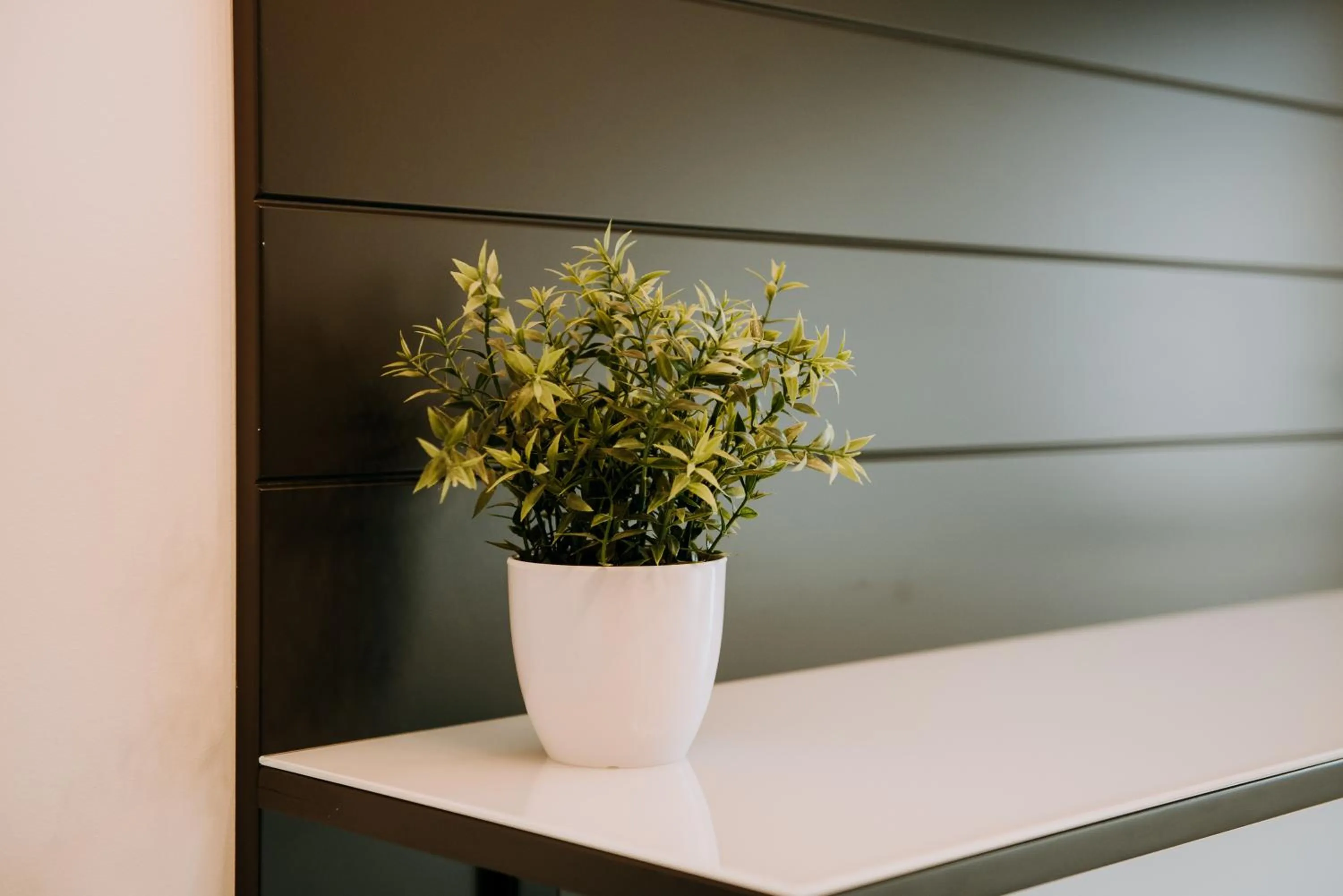 ZEN Central Apartments