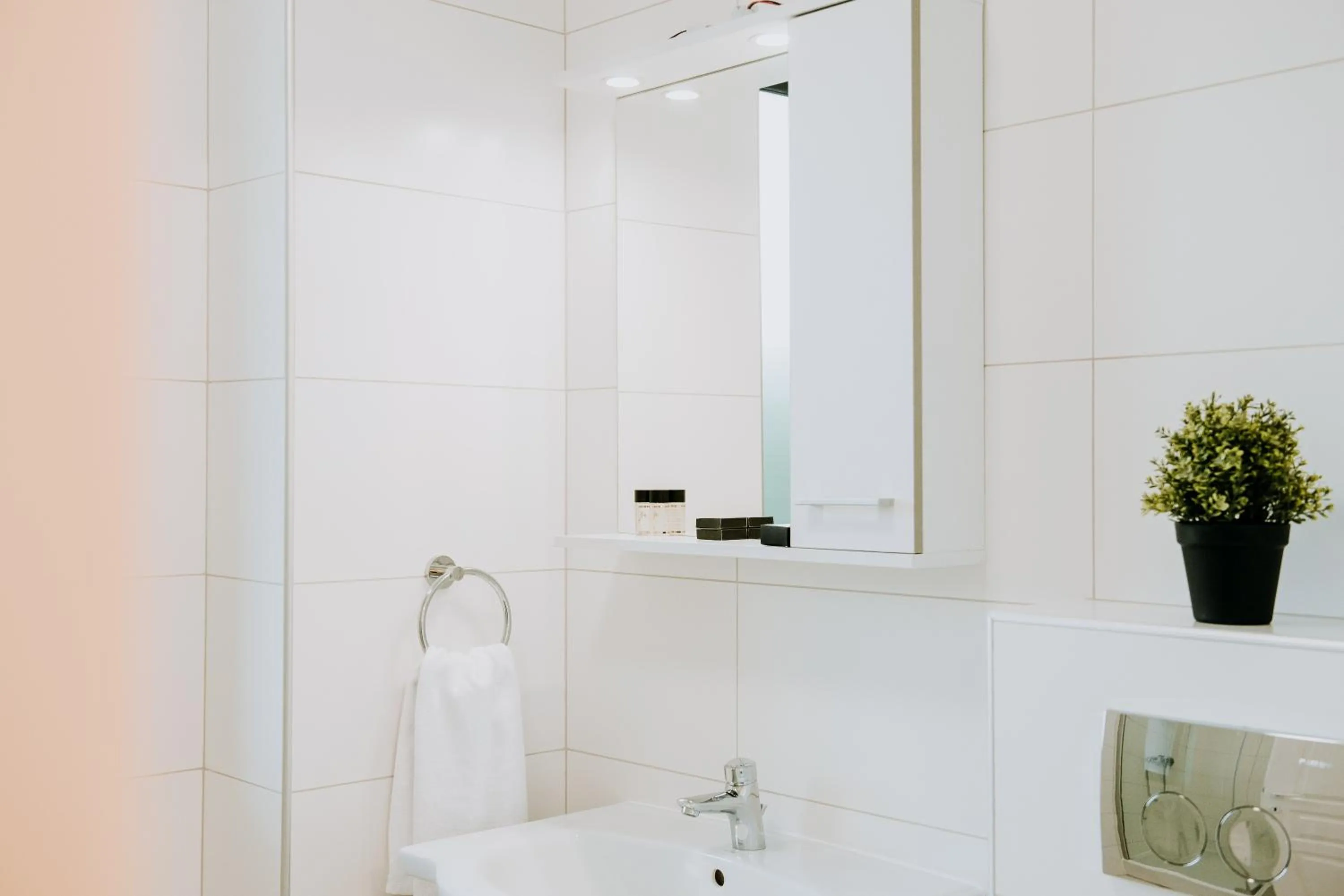 ZEN Central Apartments