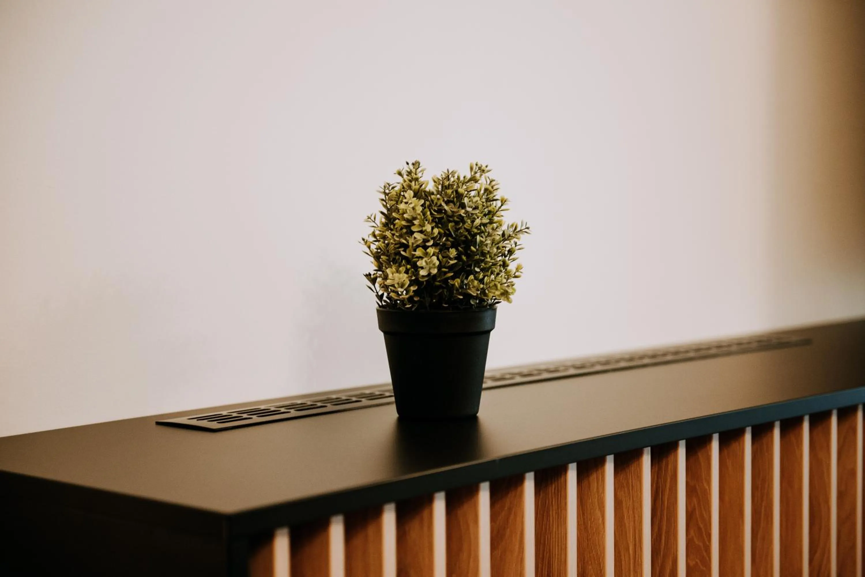 ZEN Central Apartments